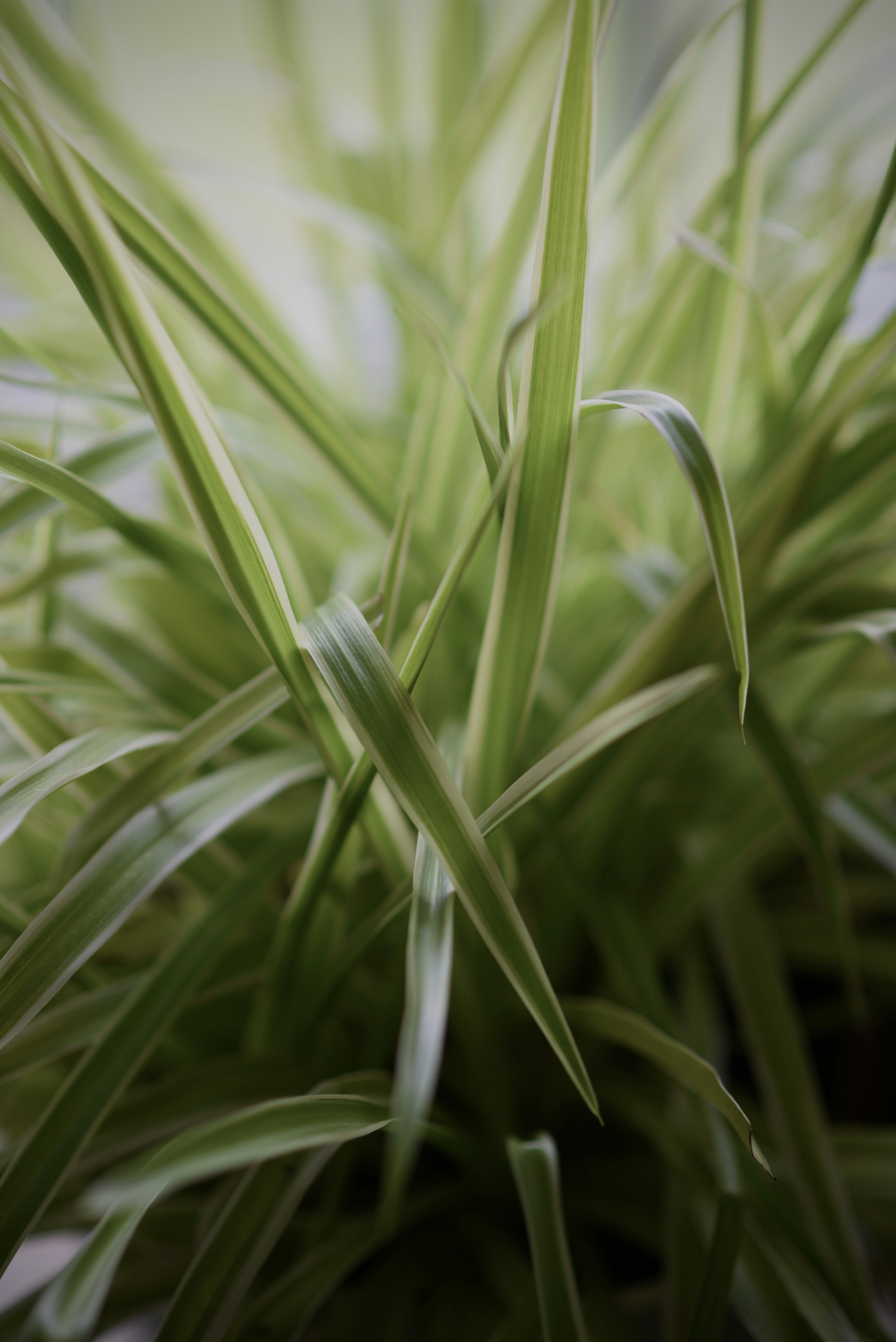 Photo by ellyendeavours