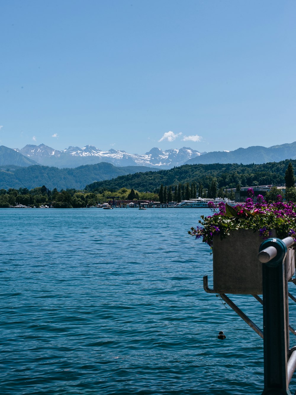 a body of water with a dock and flowers on it