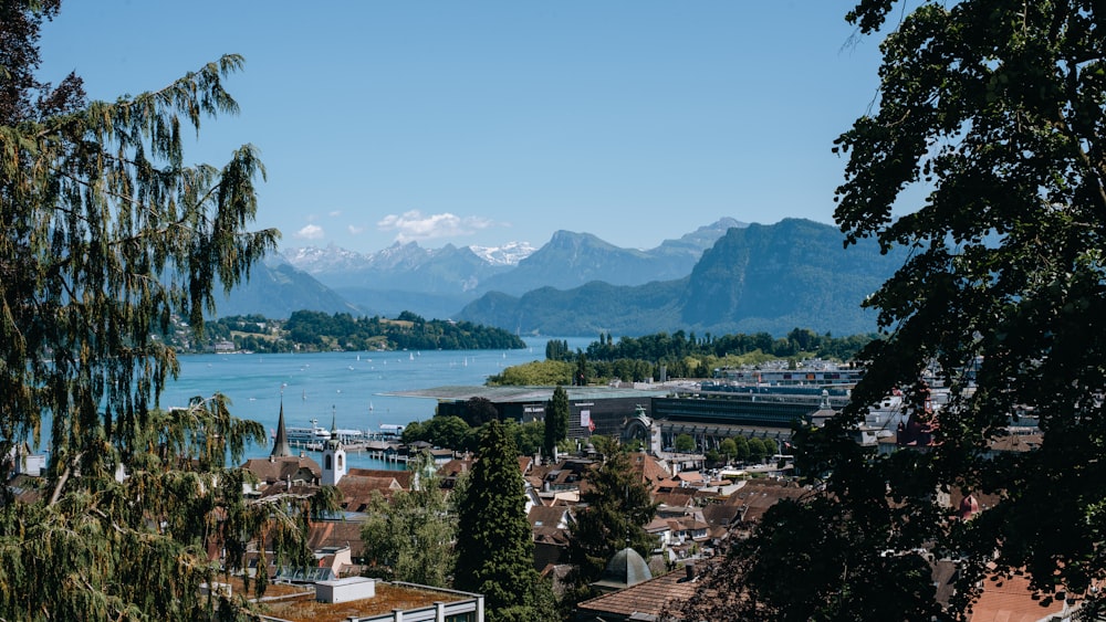 a city next to a body of water