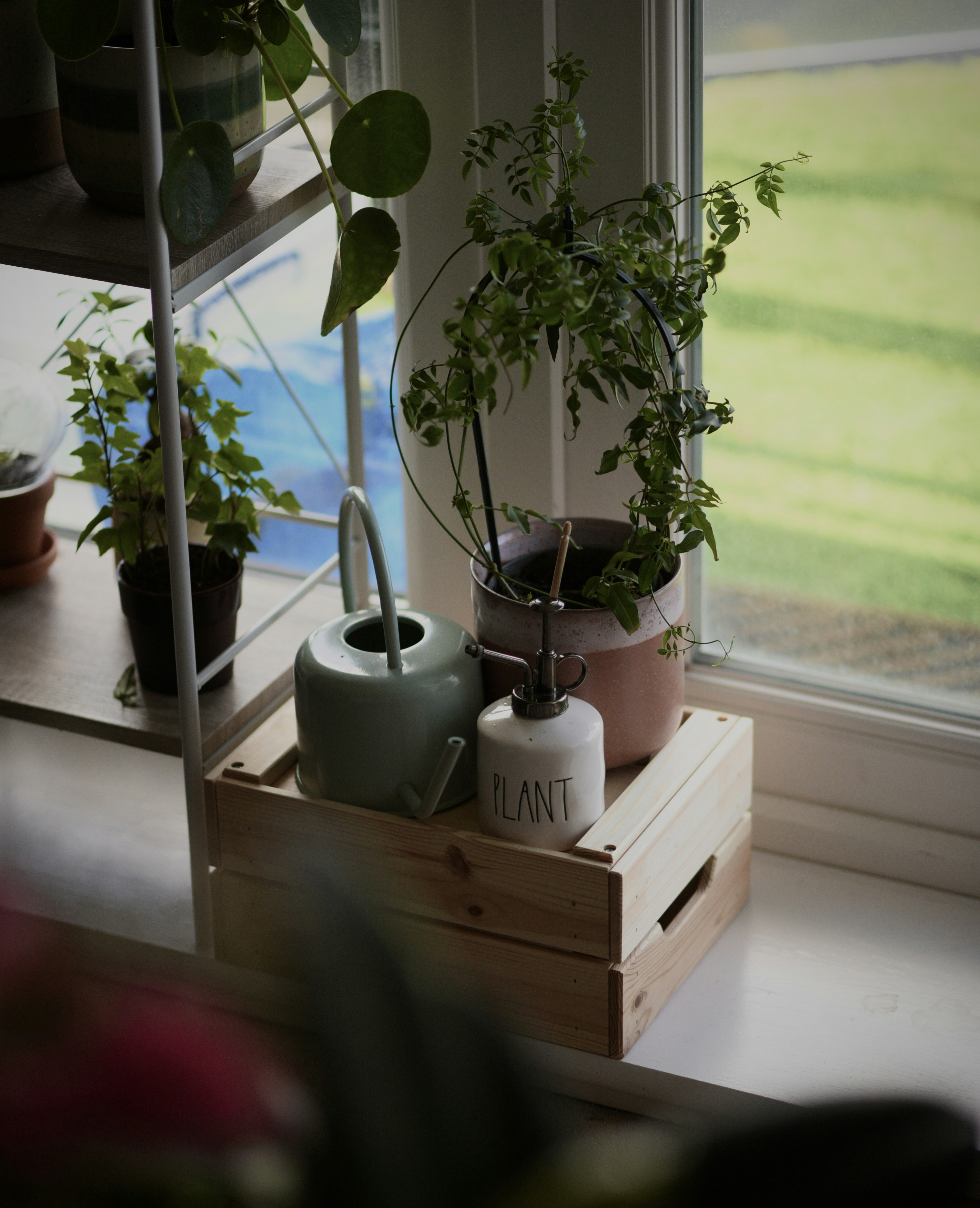 Indoor Cultivation ‌Secrets: how Grow ⁢Room Practices ‌Shape ⁤Purity, Potency, and ‌Consistency