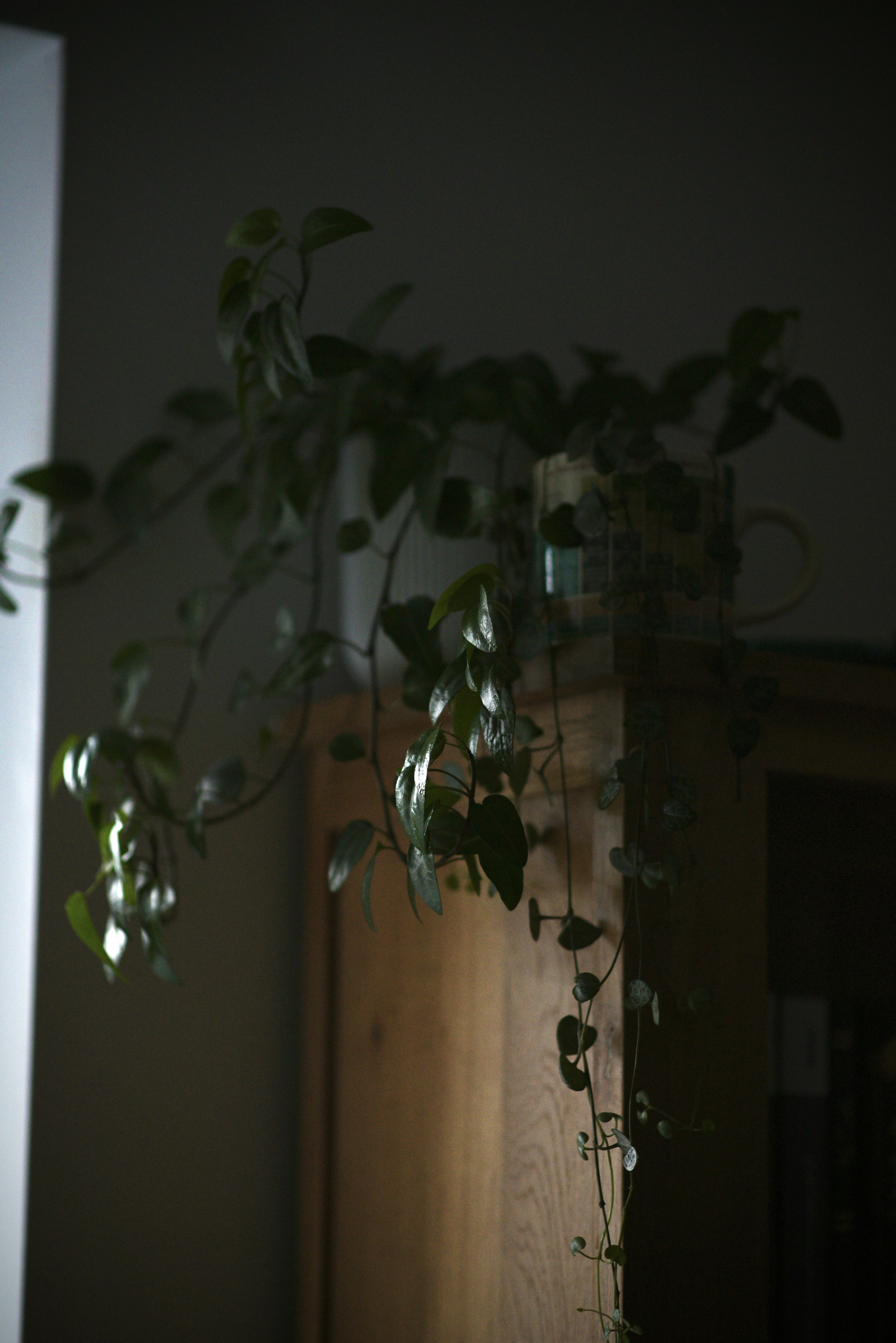 Photo by ellyendeavours