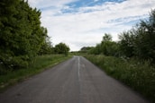 Photo of a quiet UK road ahead, framed by trees and clear skies.