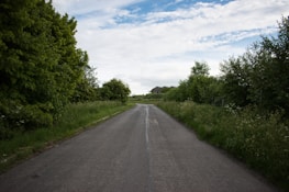 Photo of a quiet UK road ahead, framed by trees and clear skies.