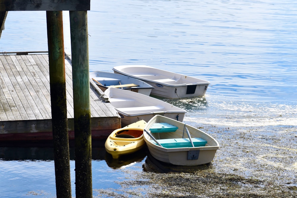 boats on the water