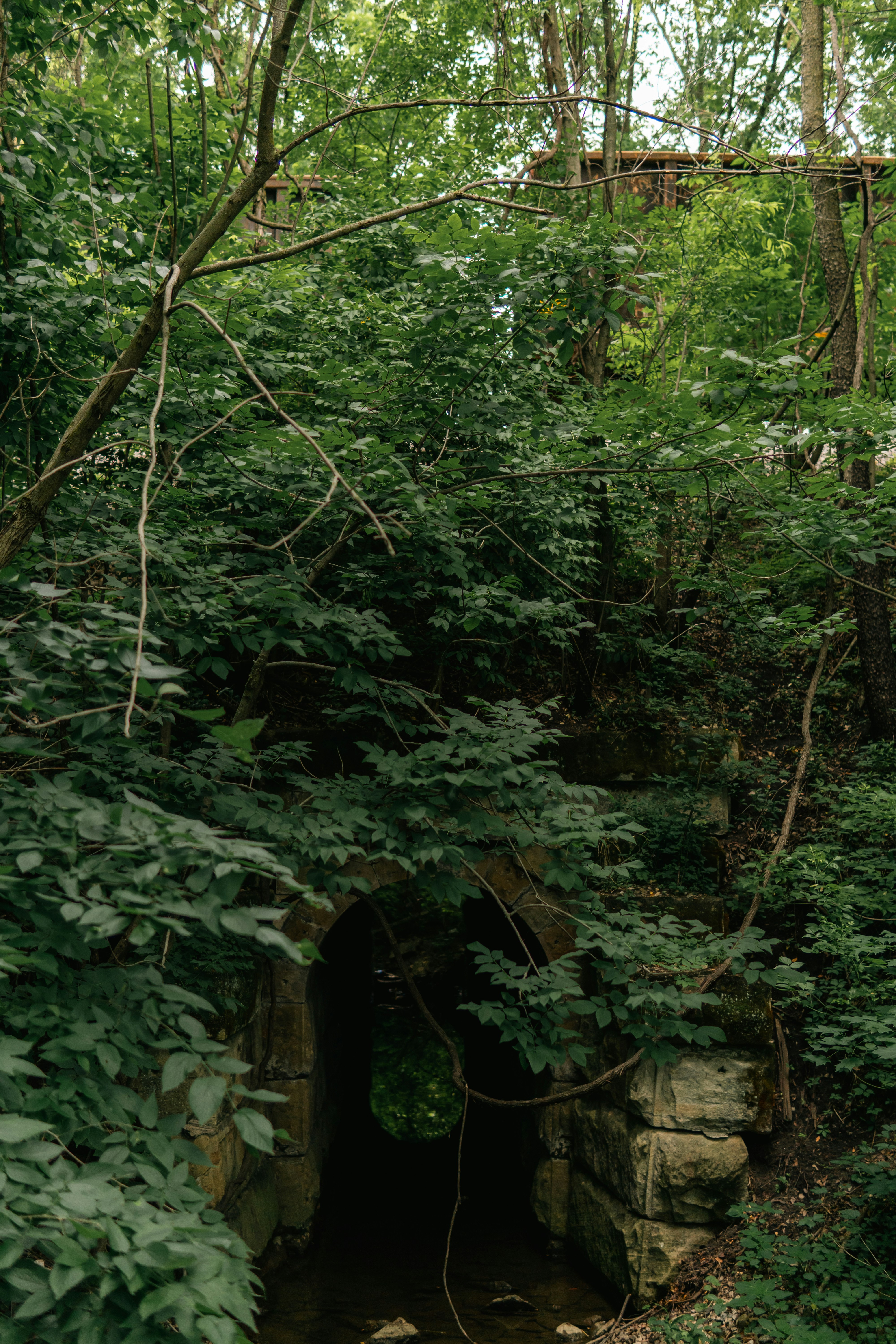 Photo by mrgreatheart