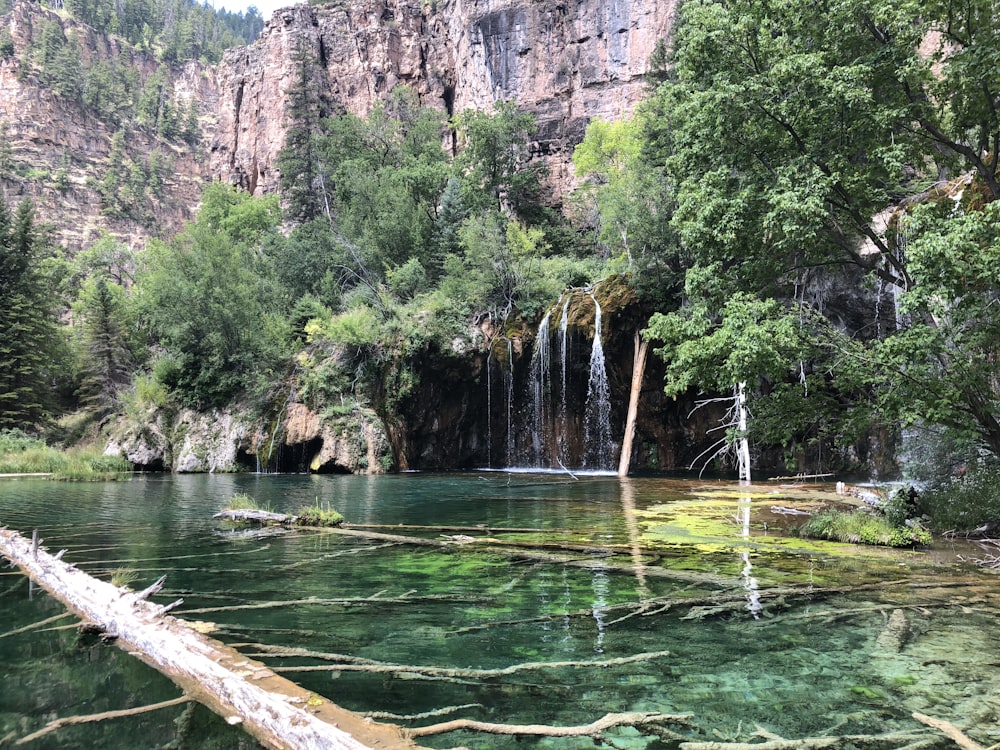 a river with a waterfall and trees