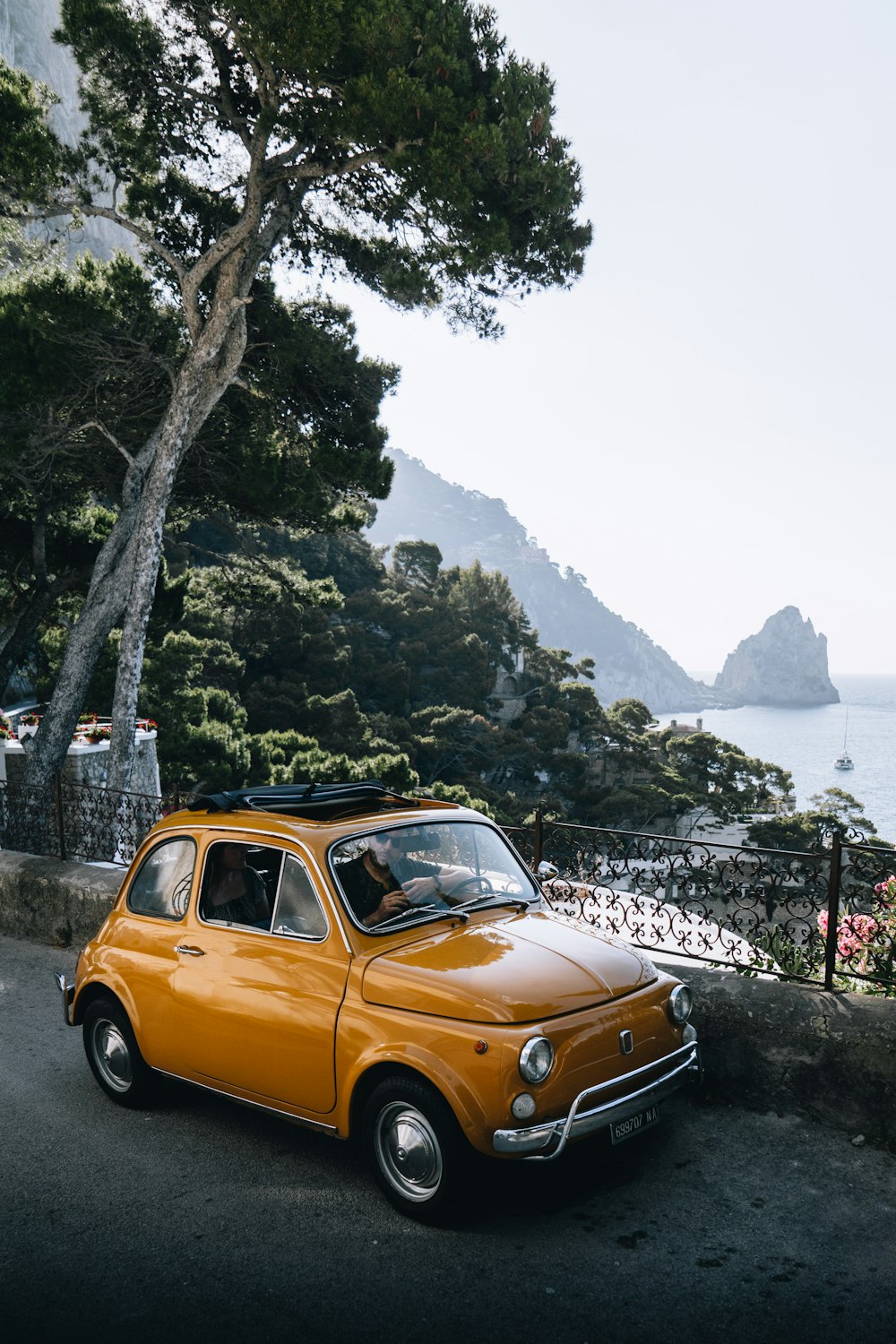 a car parked on a road by a tree and a body of water