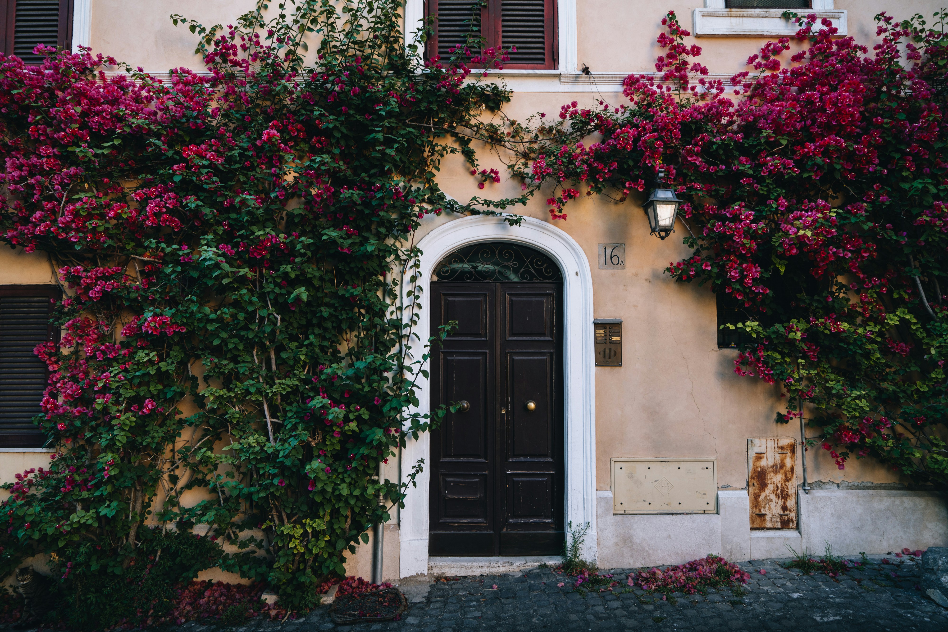 Photo by lifeof_peter_