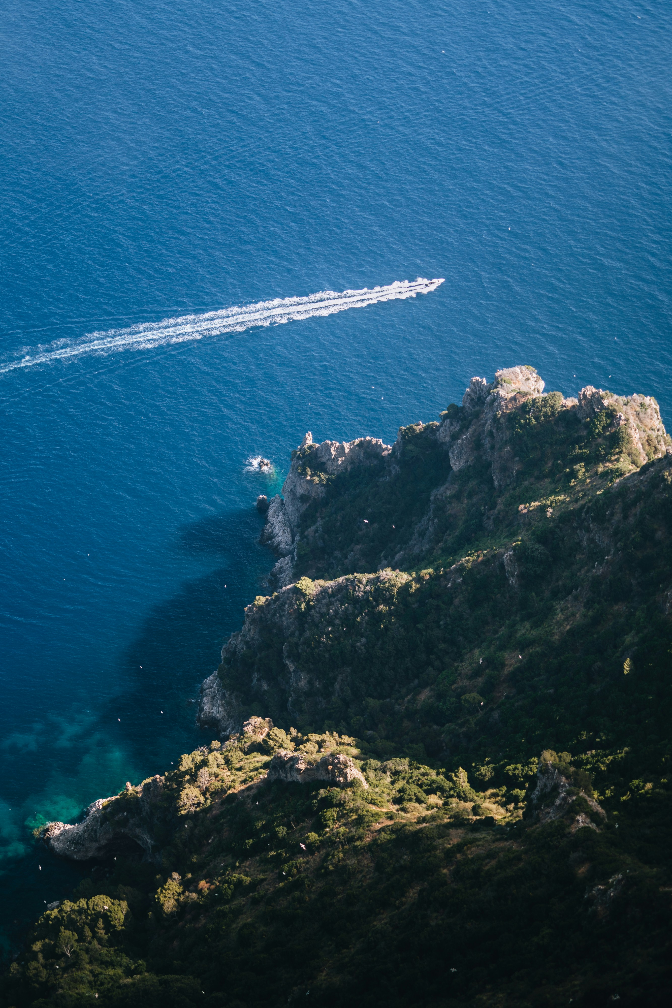 Photo by lifeof_peter_