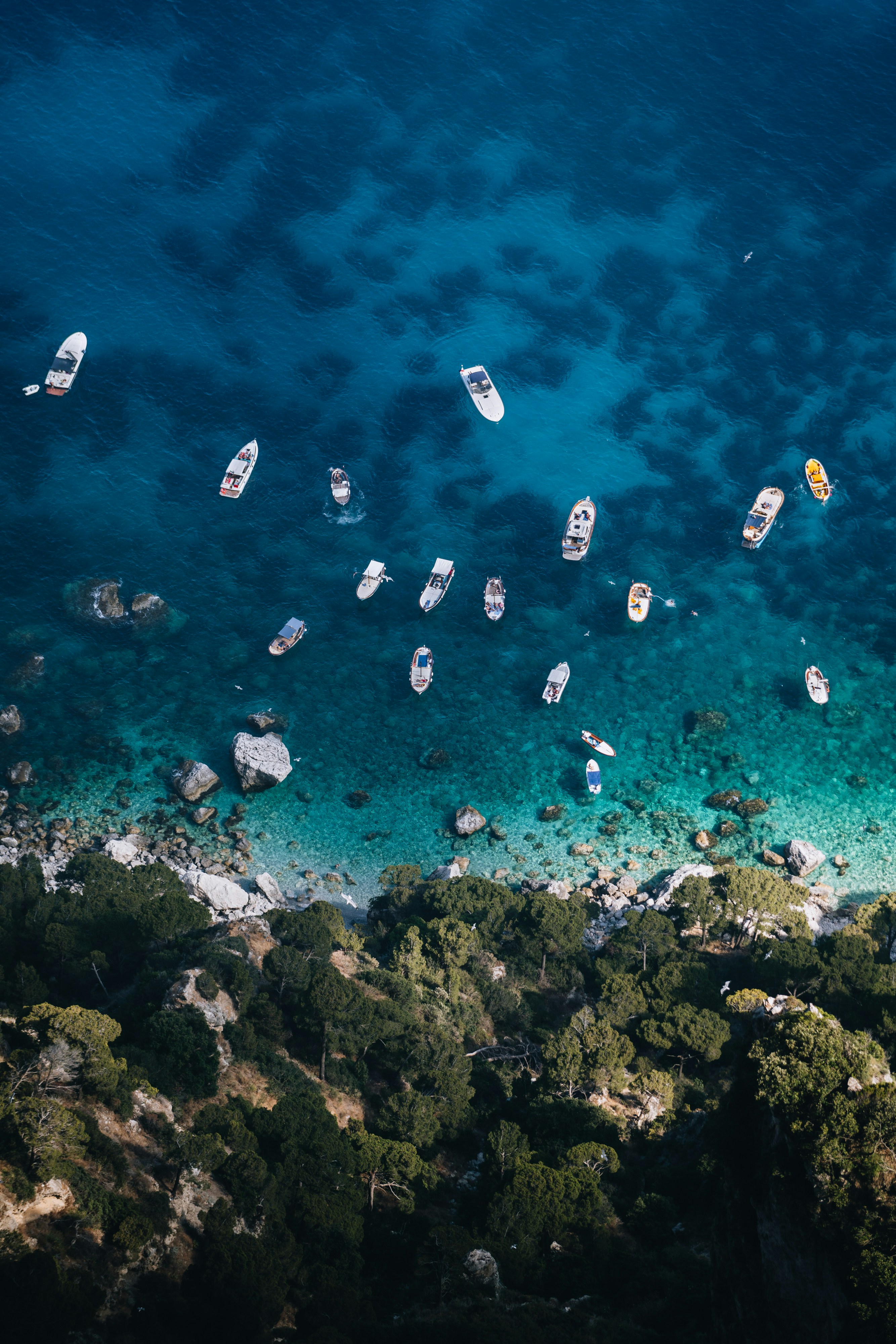 Photo by lifeof_peter_