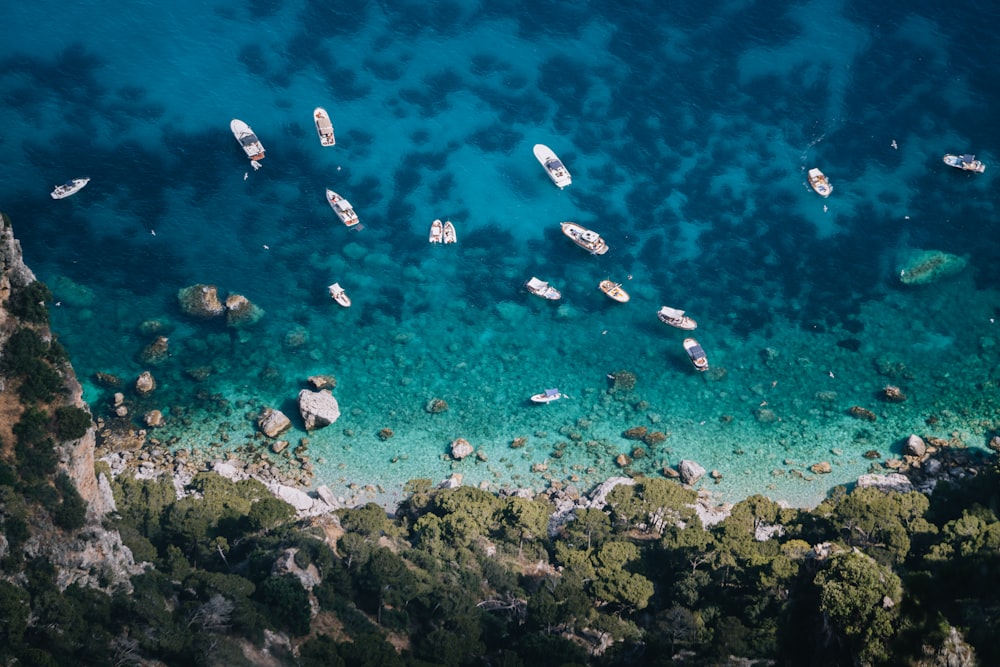 a group of boats in the water