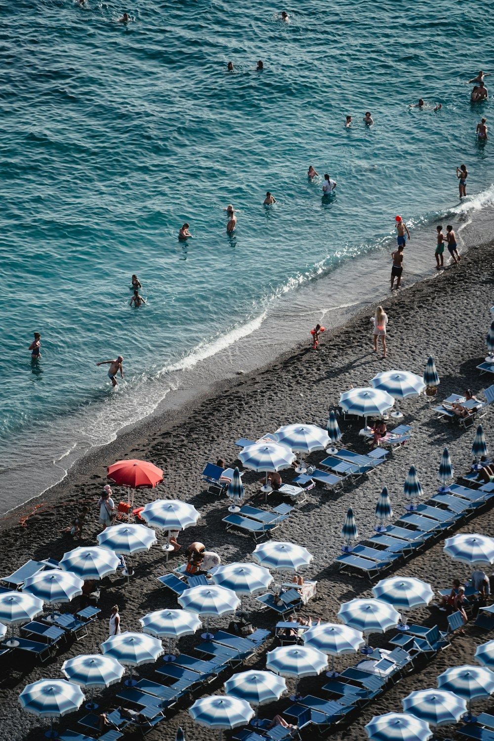 people swimming in the water