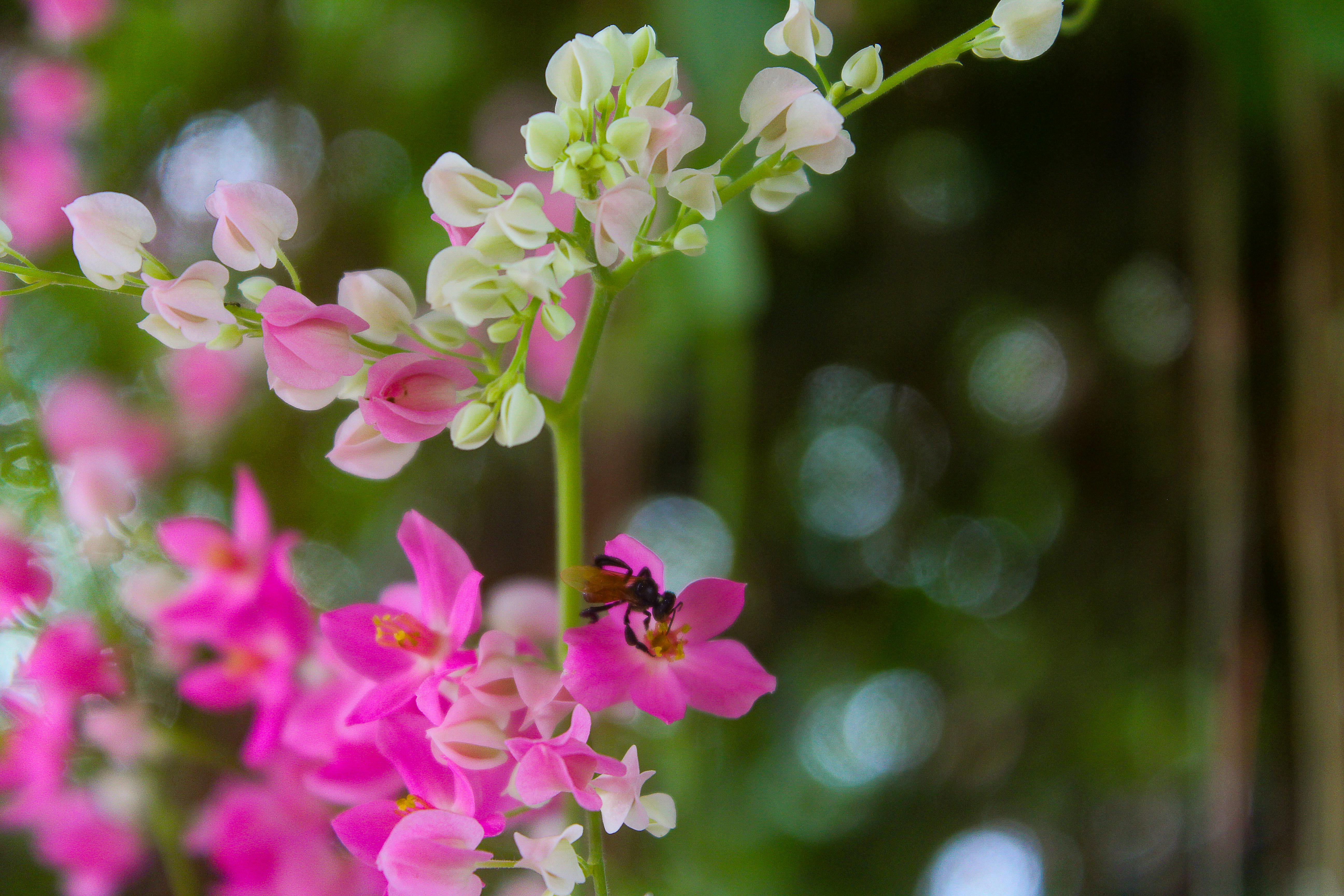 Photo by izdiharsahalan