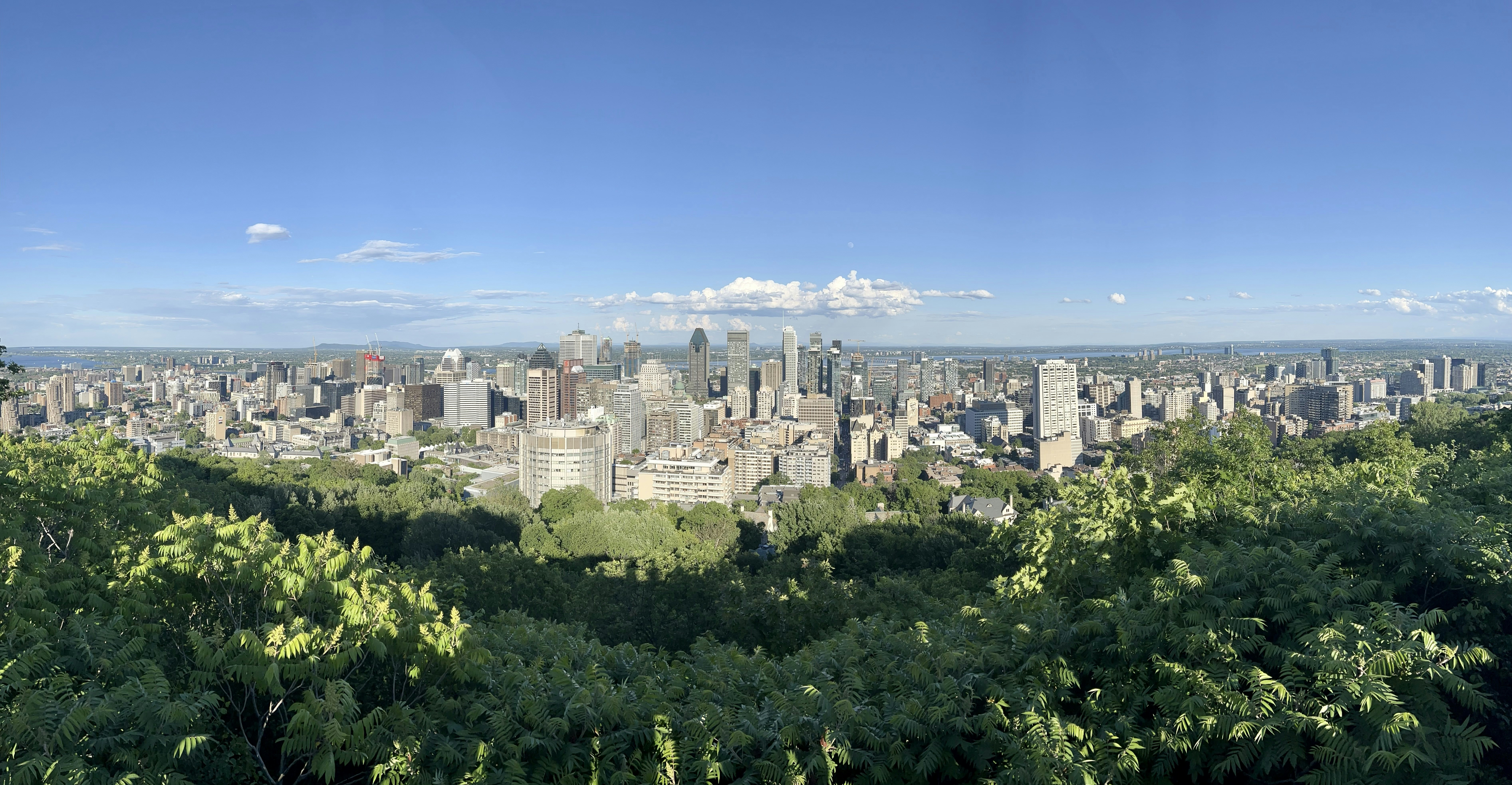 a city with many buildings