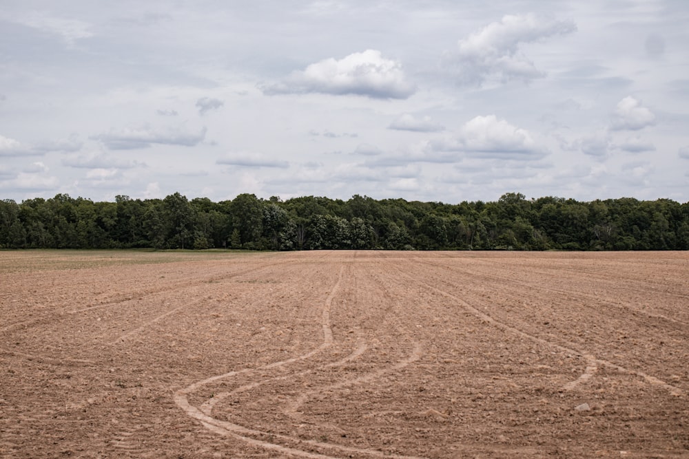 a field with dirt and trees in the background