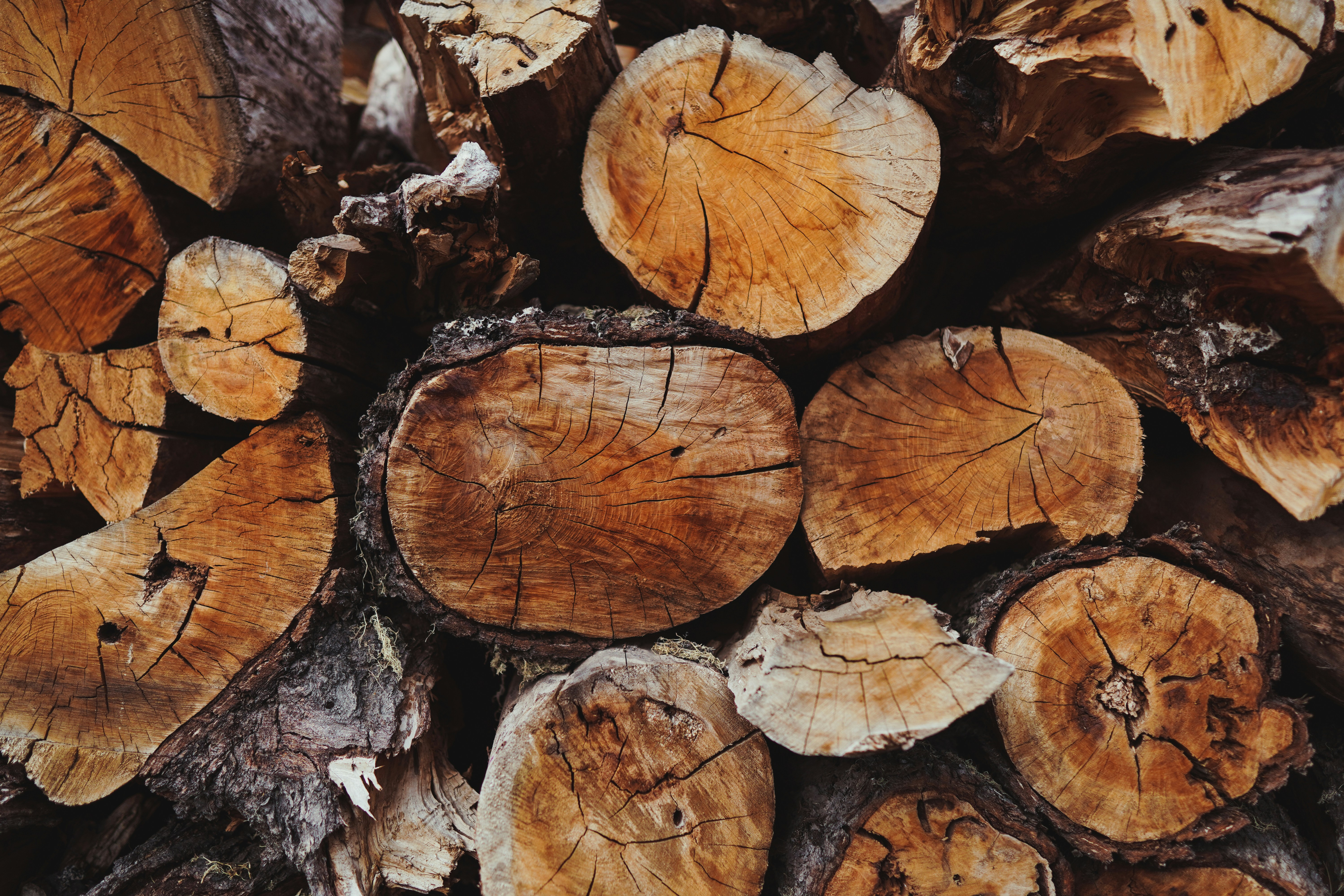 Photo by agusvisconti