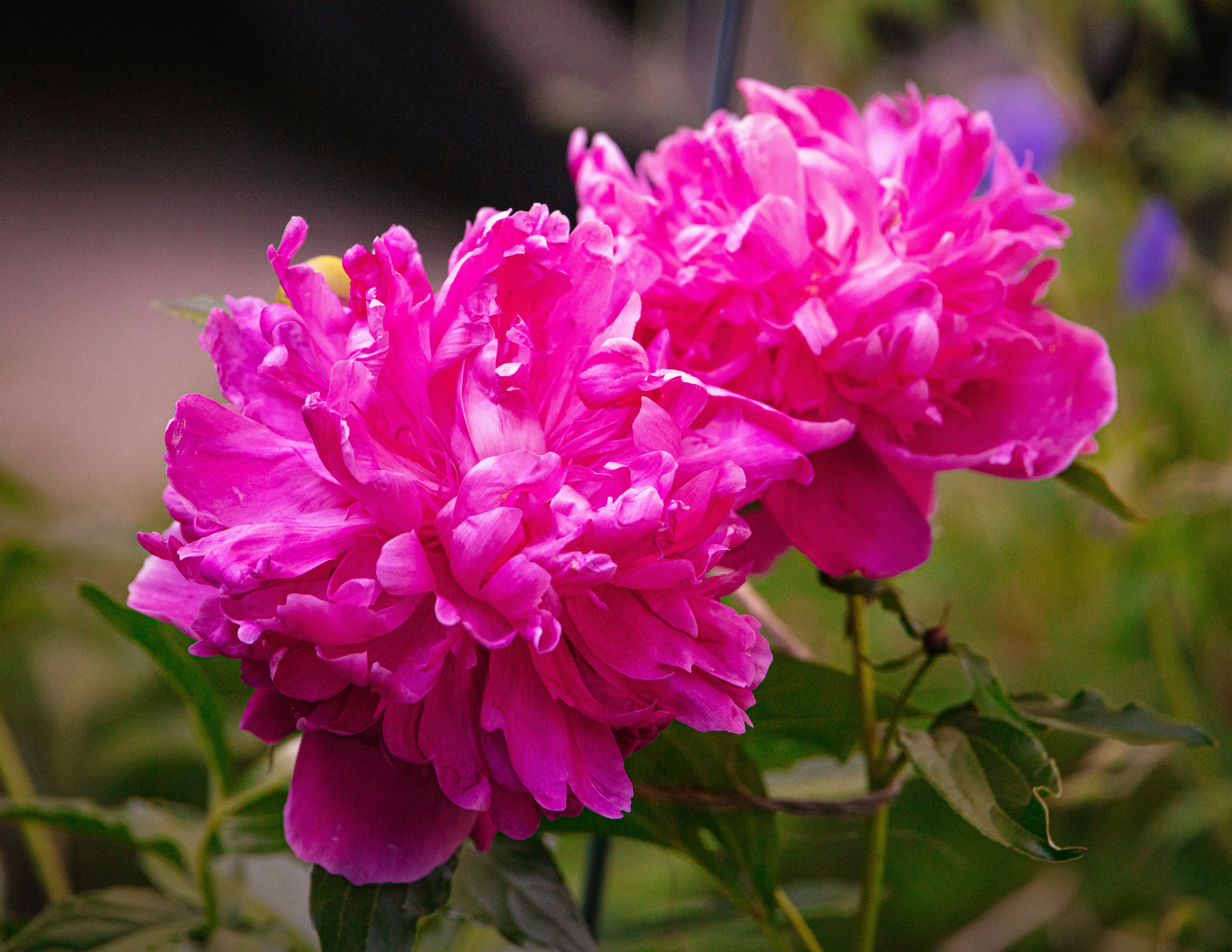 Photo by hanyangzhang