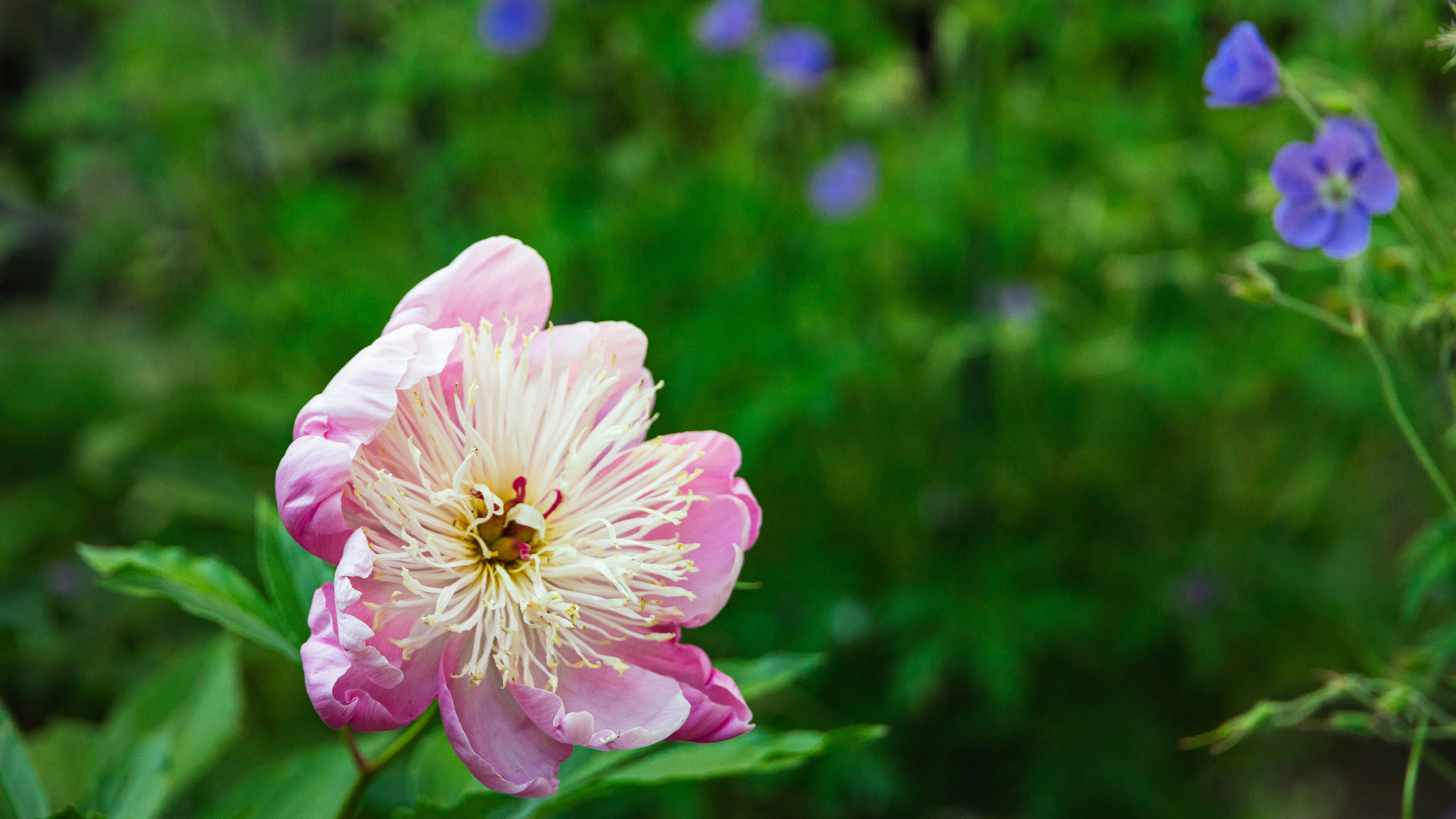 Photo by hanyangzhang