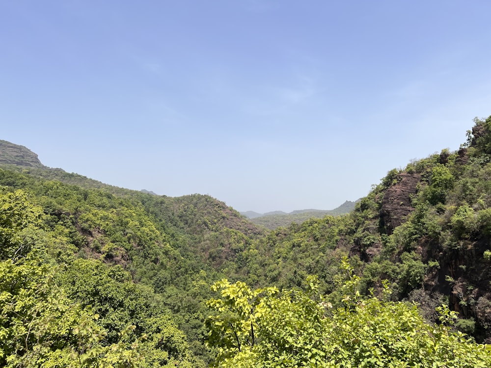 a landscape with trees and hills