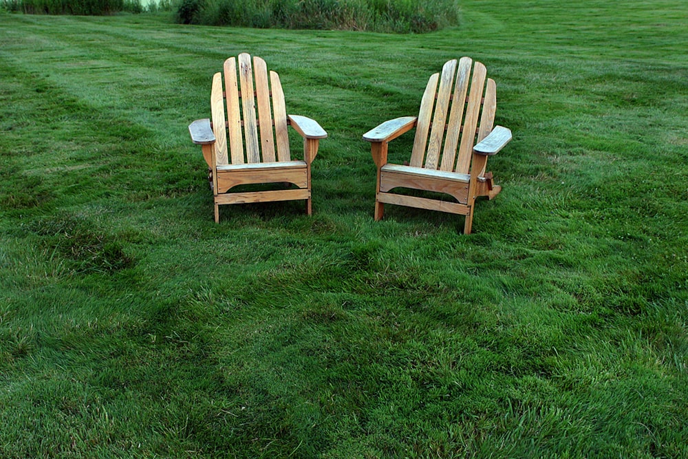 two chairs on grass