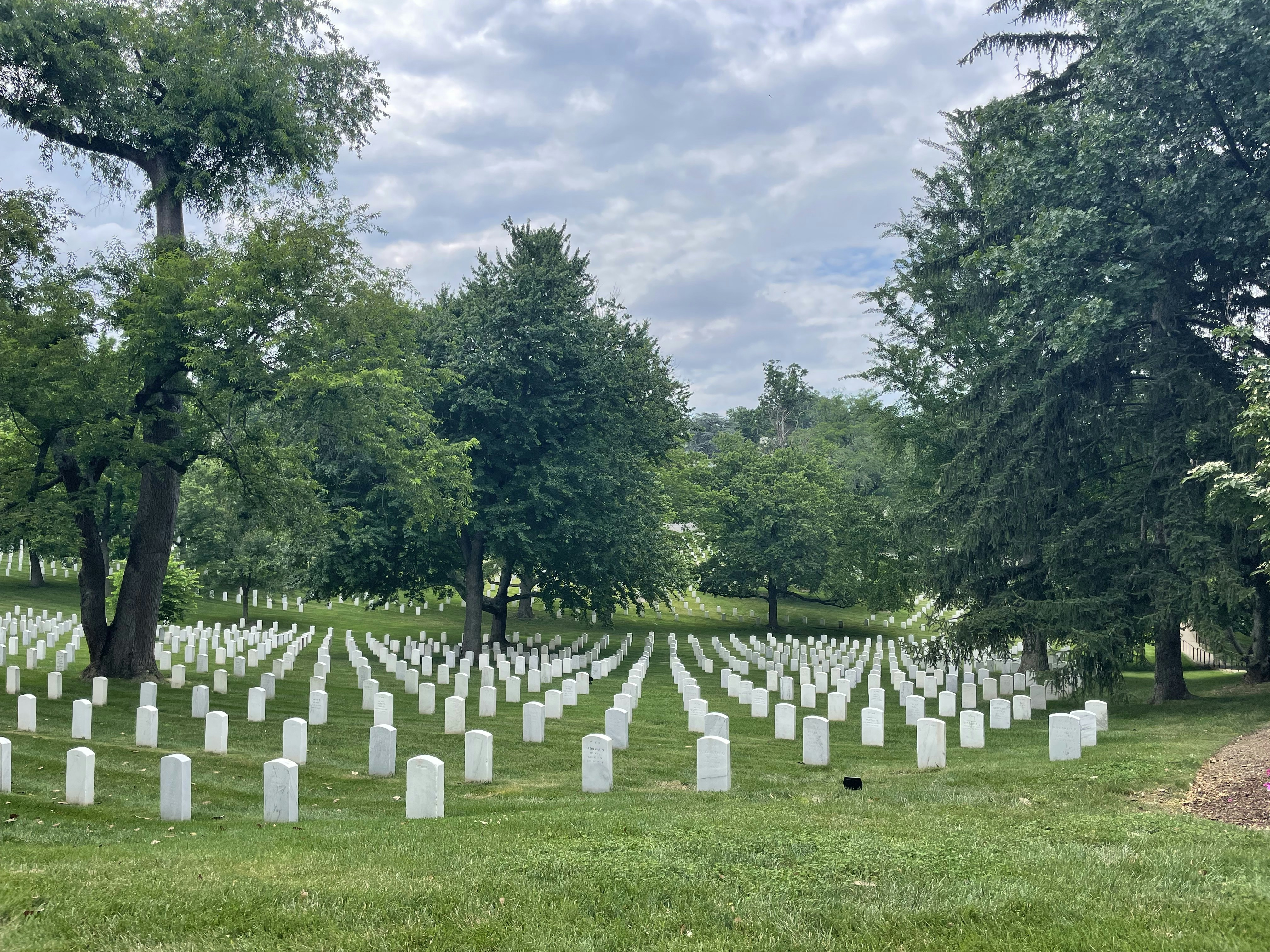 Un cimetière avec de nombreuses pierres tombales blanches