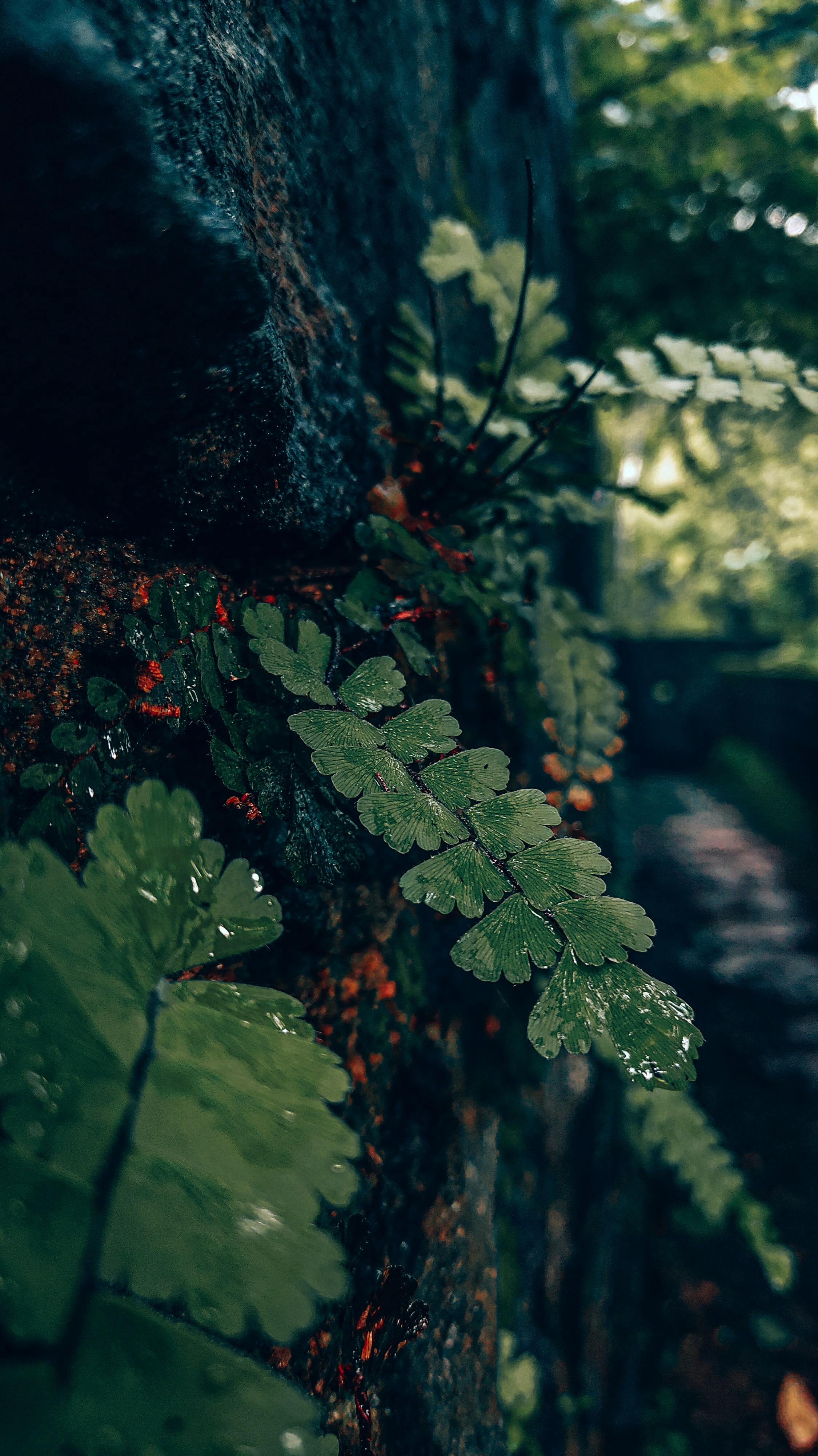 Photo by eshakangell