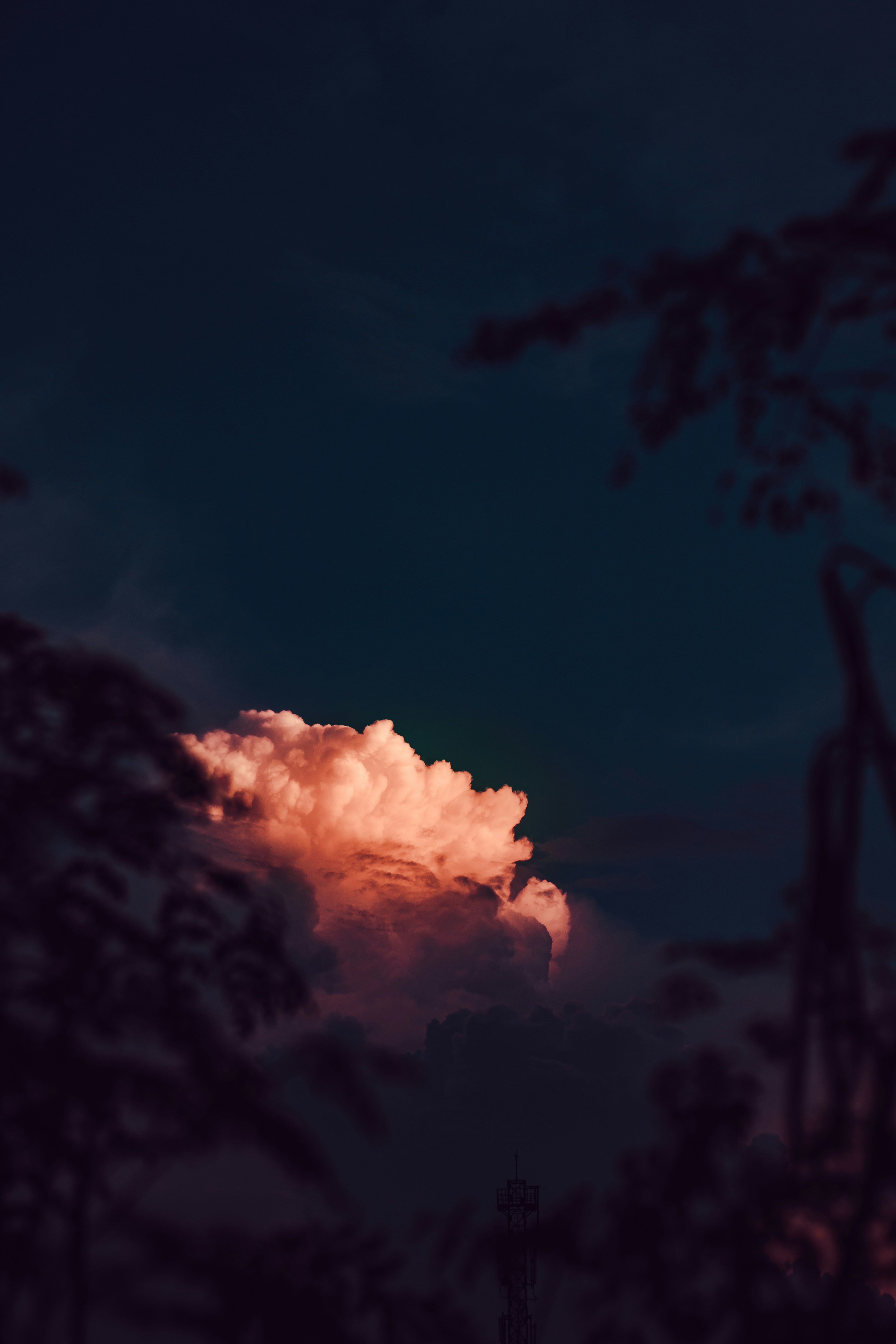 Photo by dhilipantony