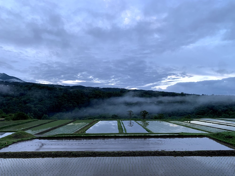 a golf course with a pond