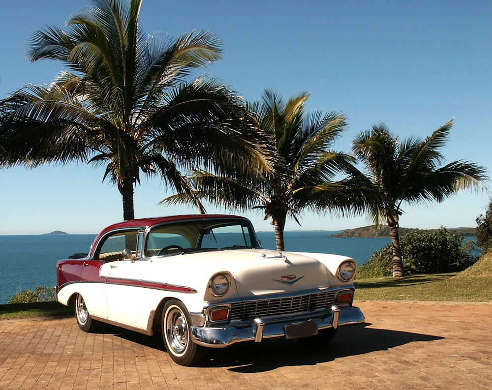 a white car parked on a road by palm trees and water