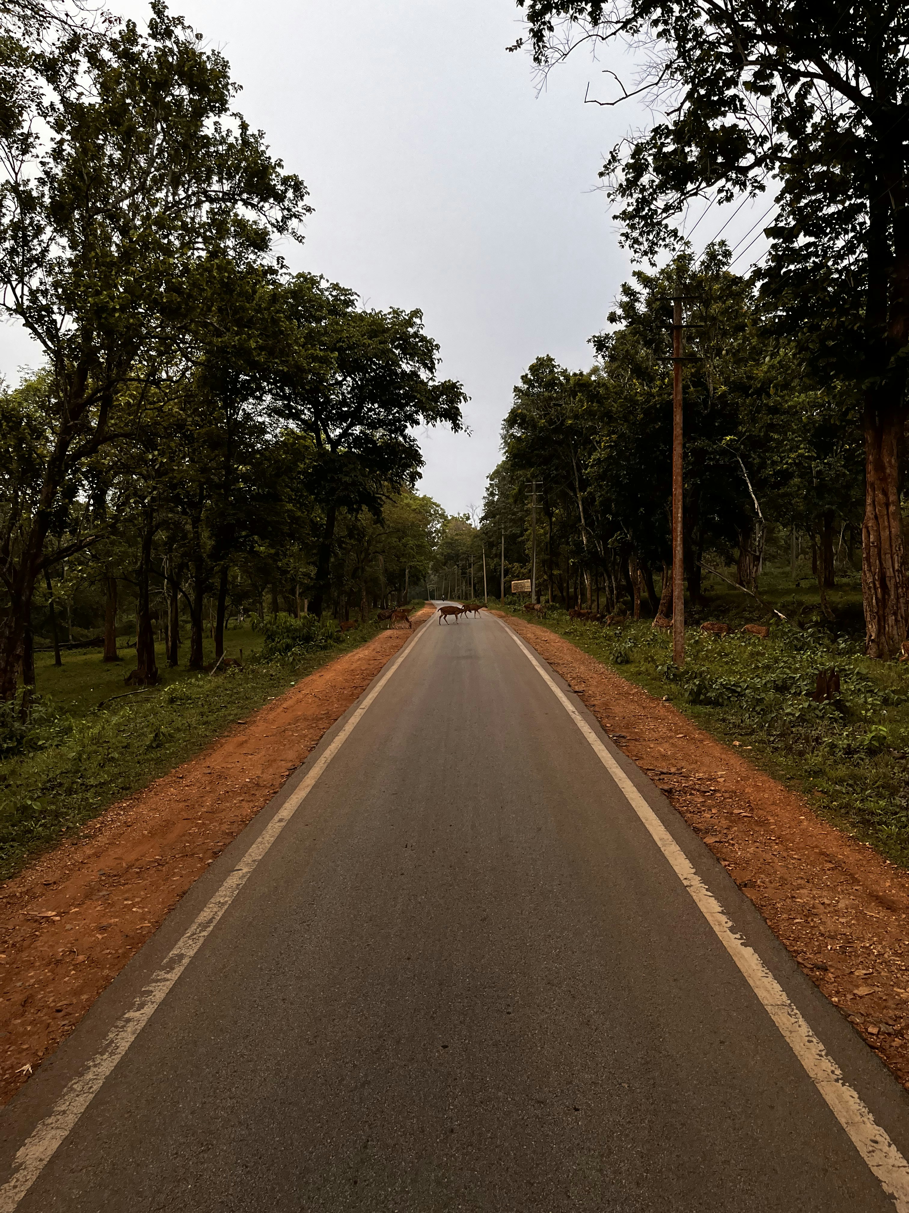 Photo by _purianoushka