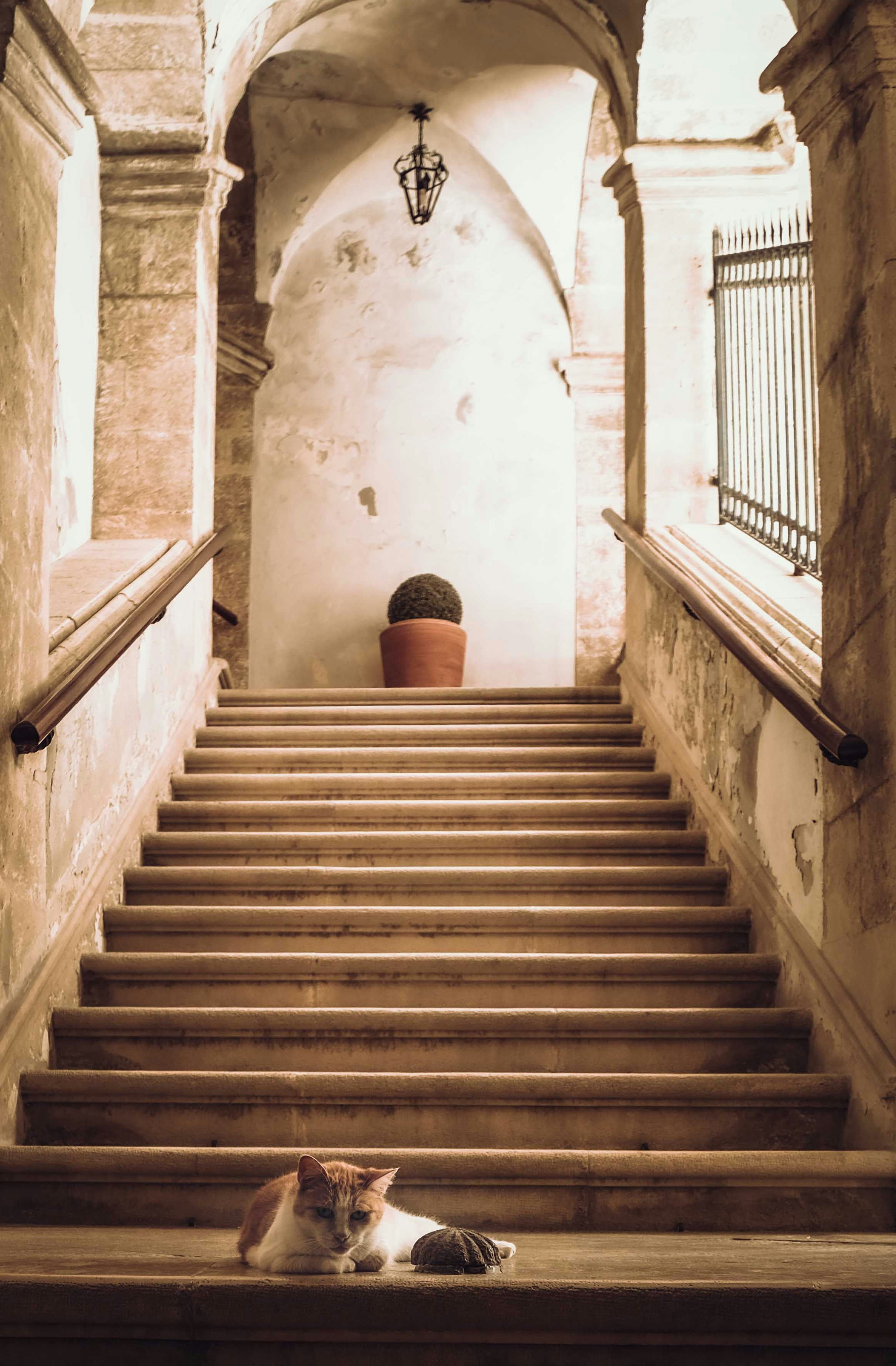 Photo by francesco_ungaro