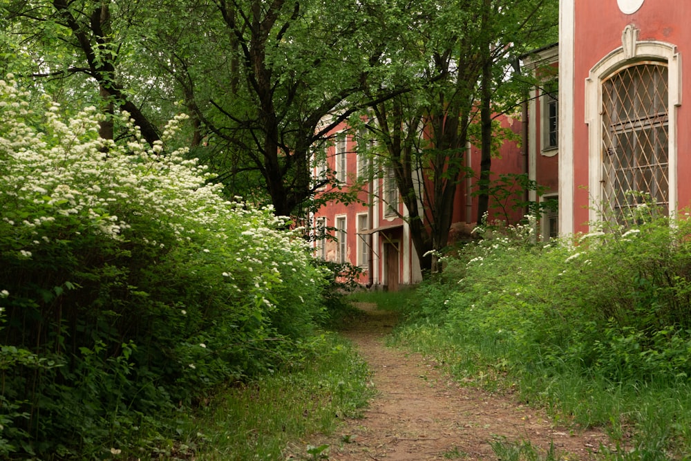 a path leading to a house