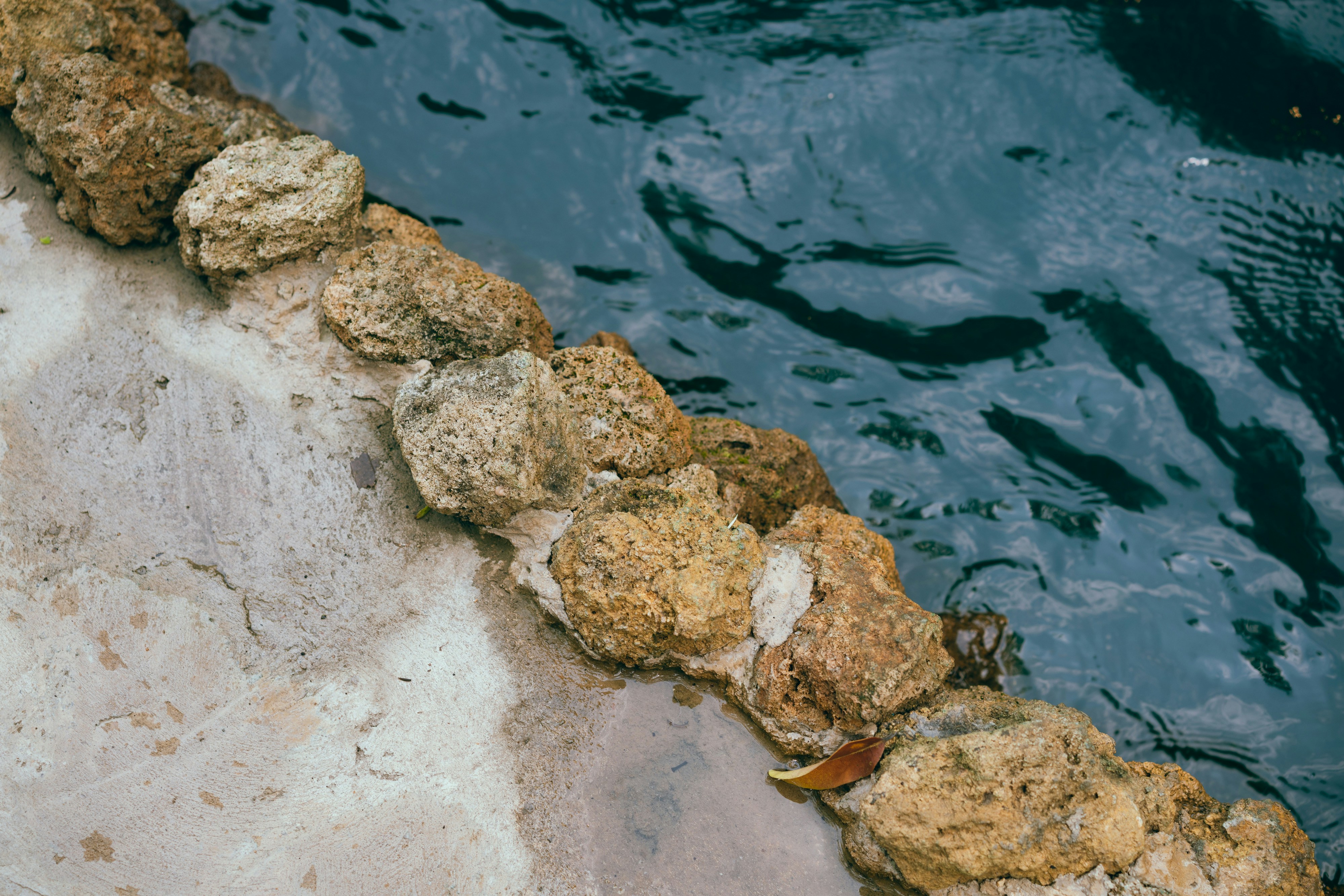 Photo by markuswinkler