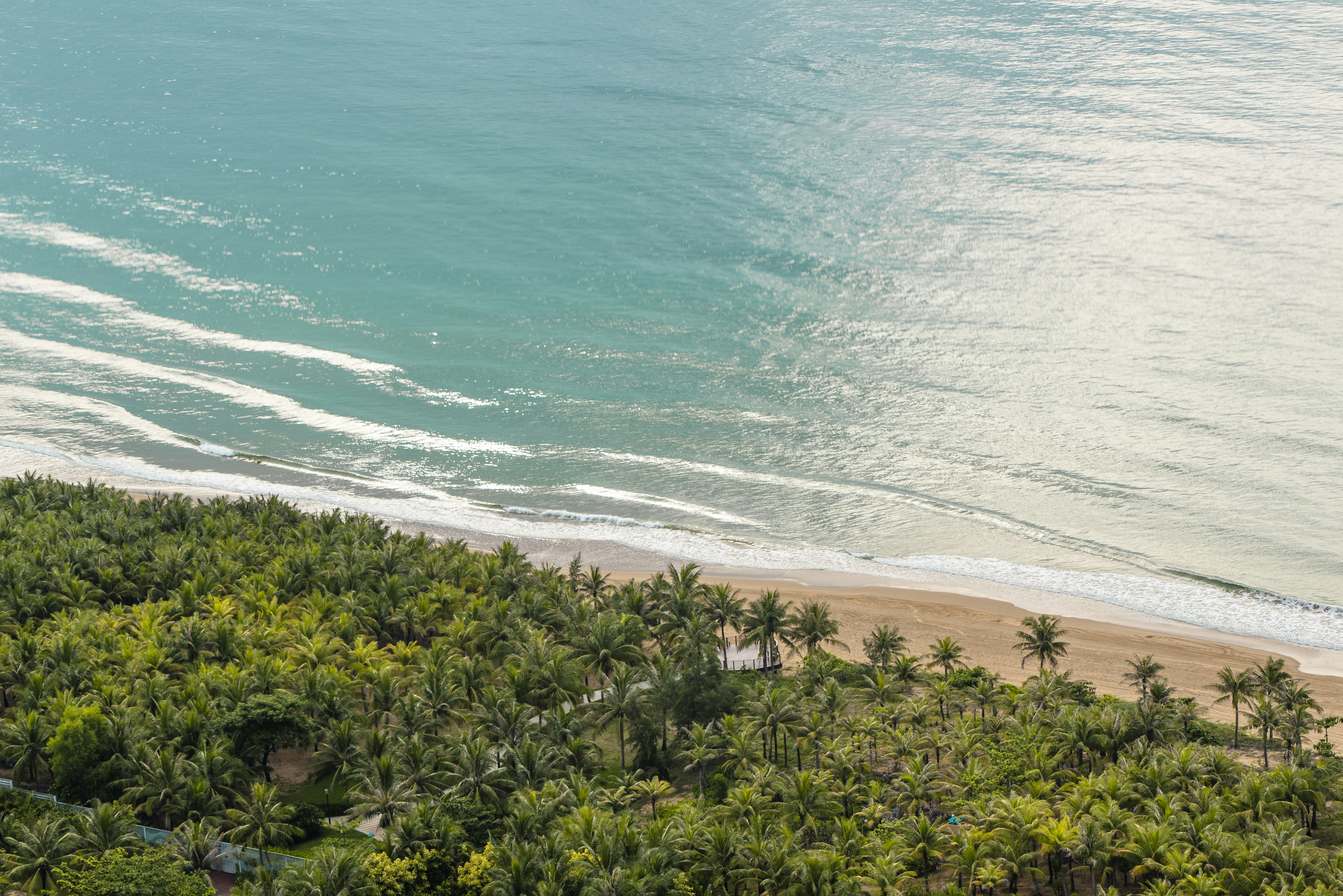 Photo by superxcalvin