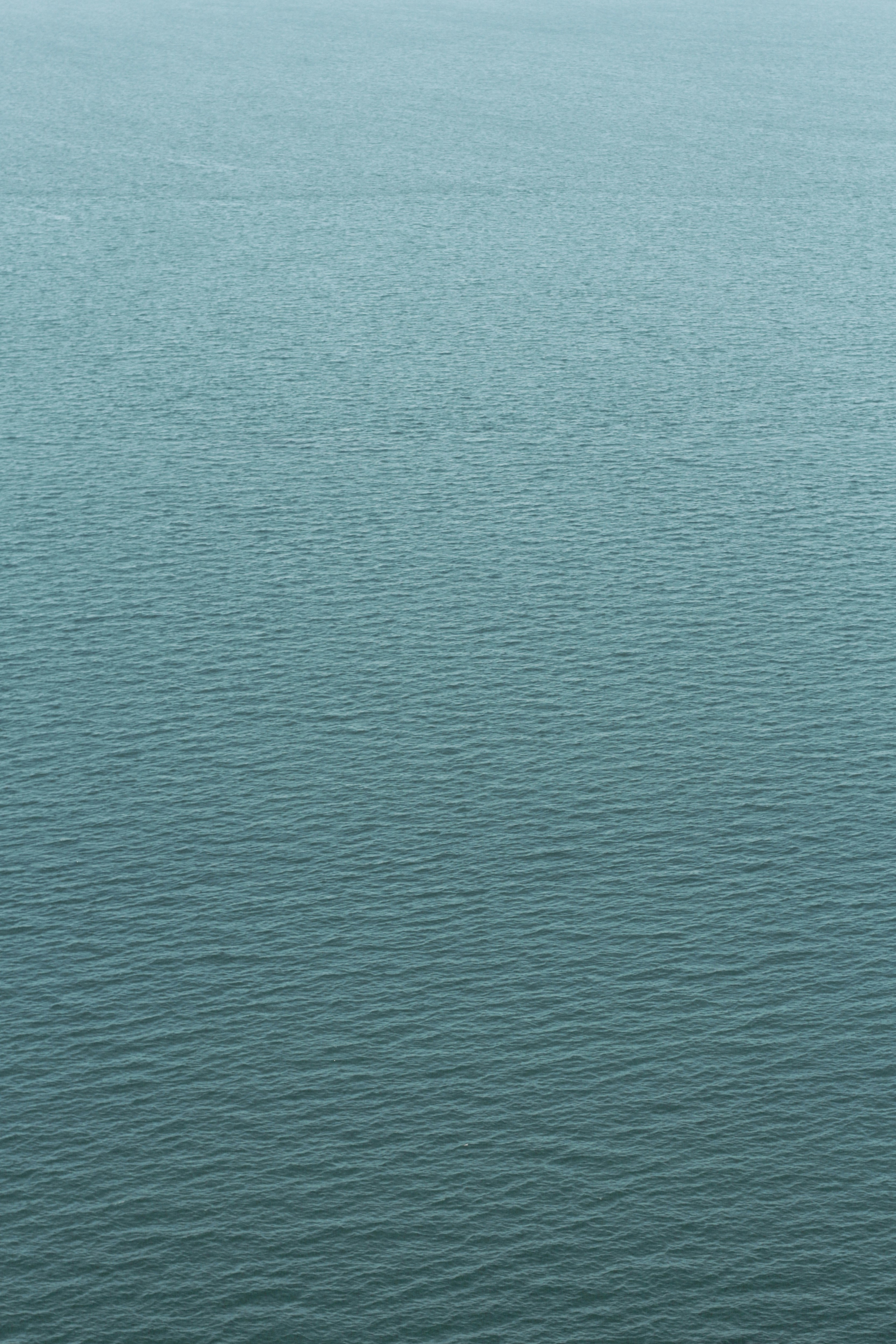 Photo by secondsight