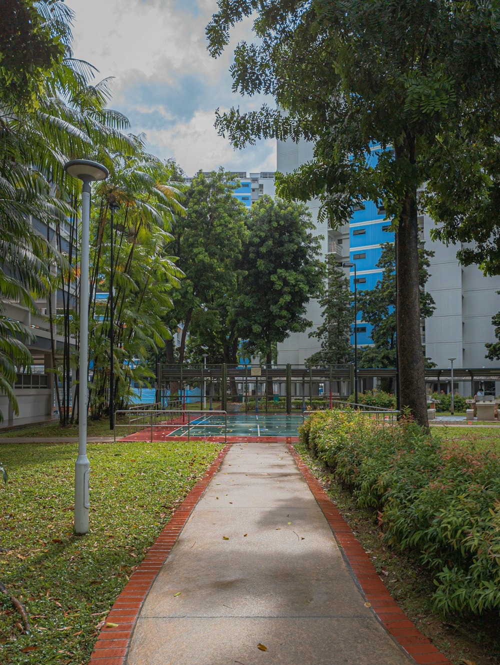 a walkway with trees and buildings in the background