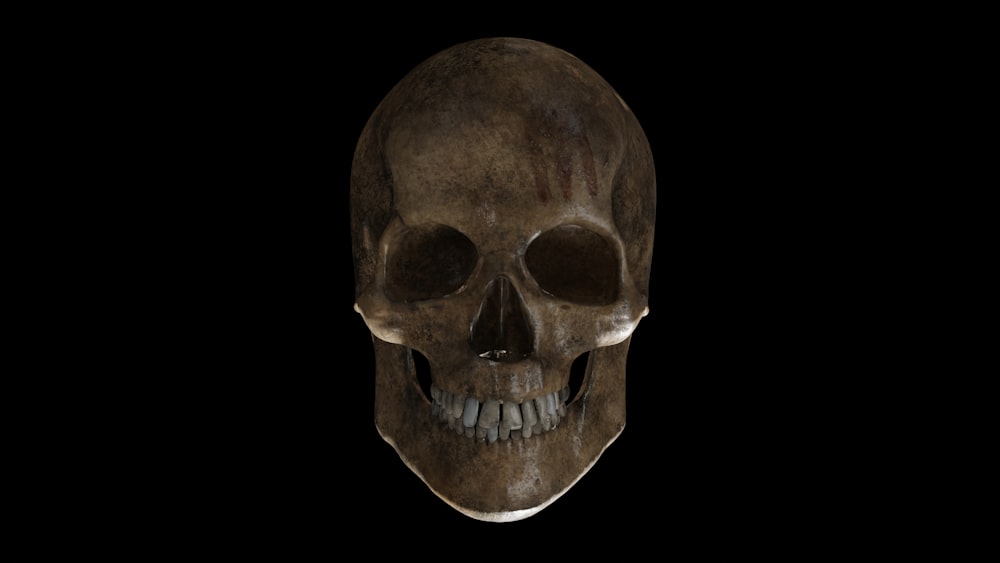 a skull with a black background