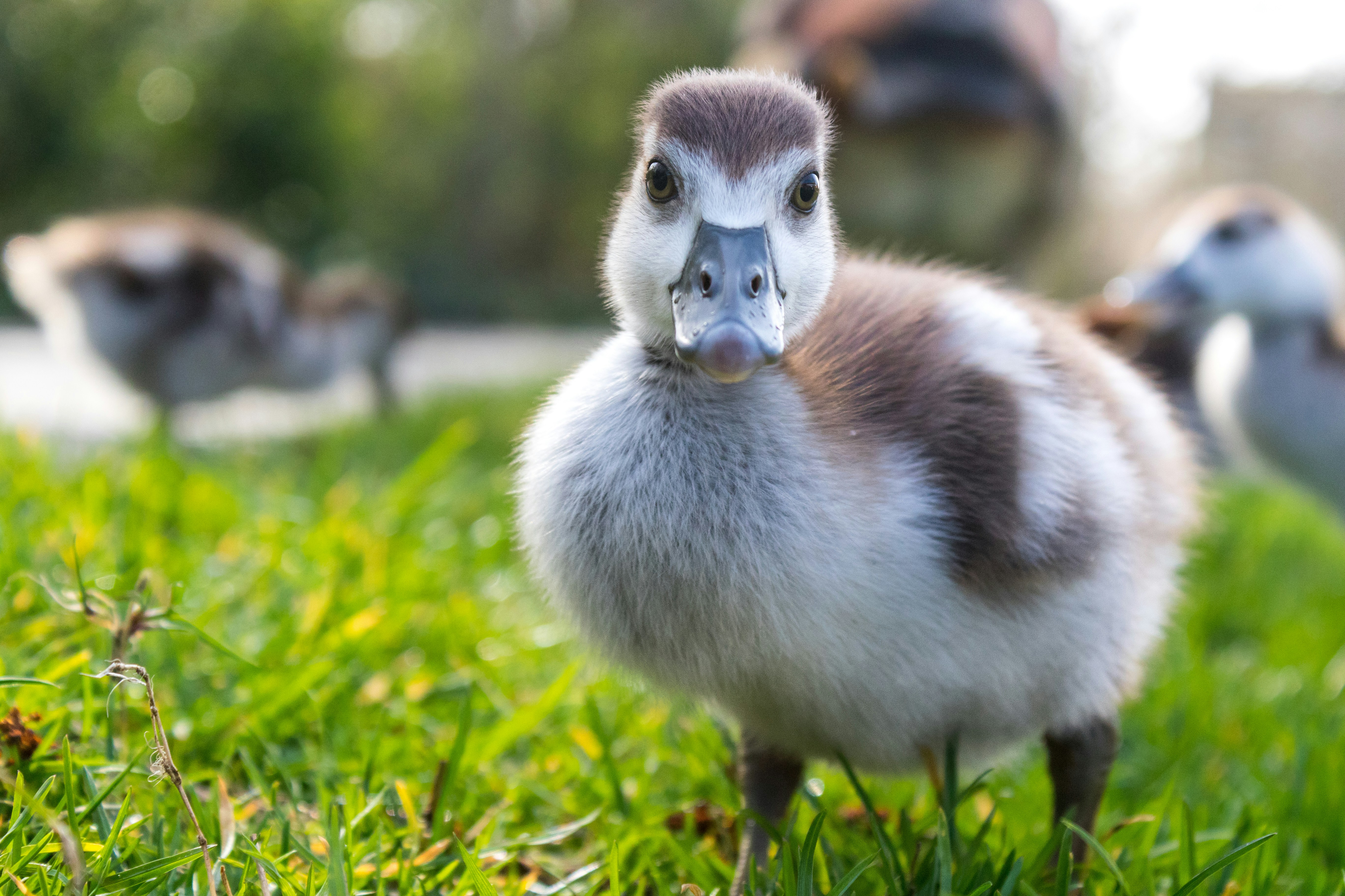 Photo by mathijsdekoning