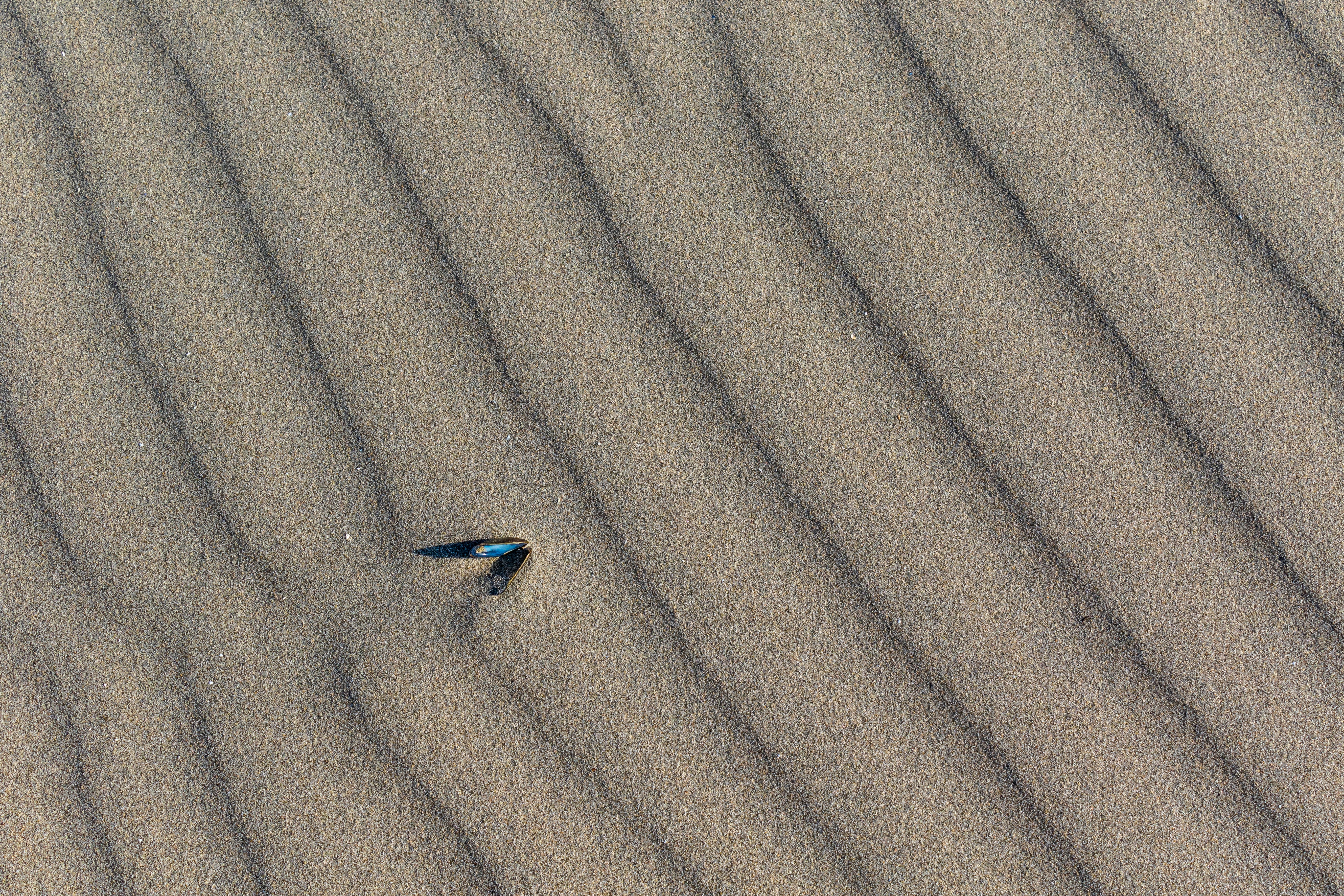 Photo by mathijsdekoning
