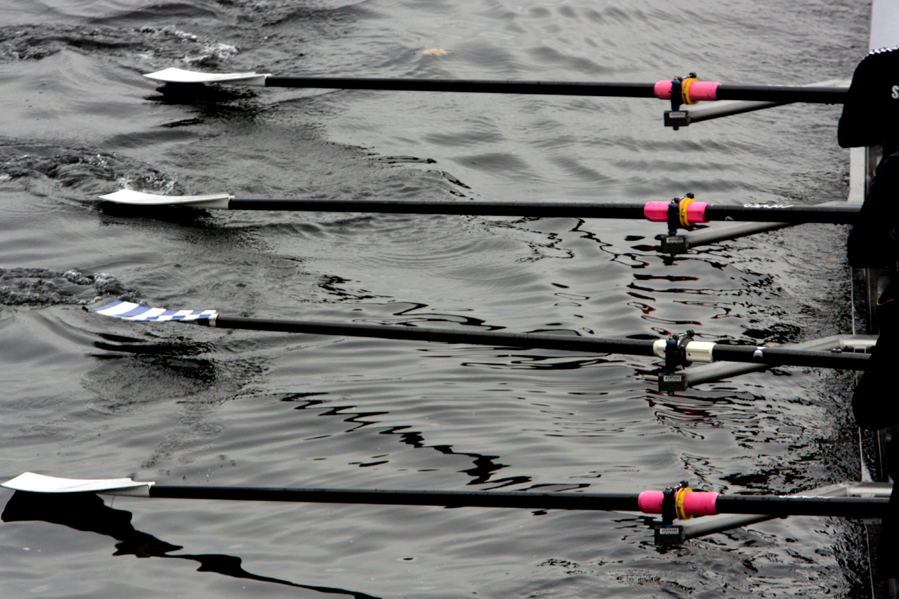 crew rowing at speed