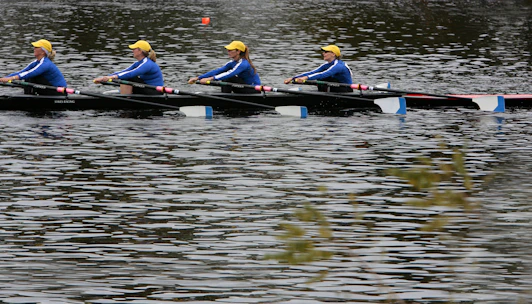 A dynamic dragon boat team rowing in perfect sync on shimmering water under a clear sky.