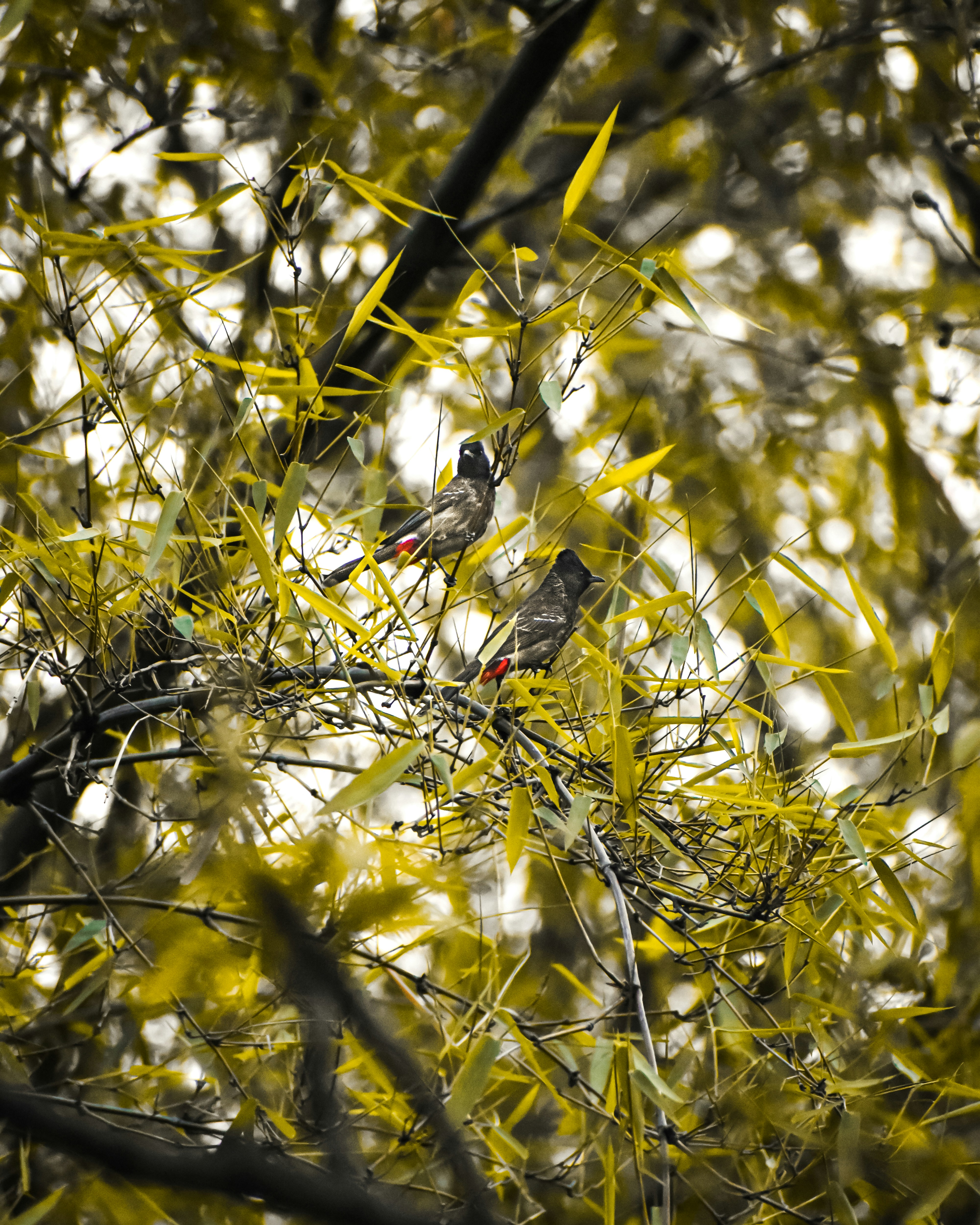 Photo by sahilmarndi9