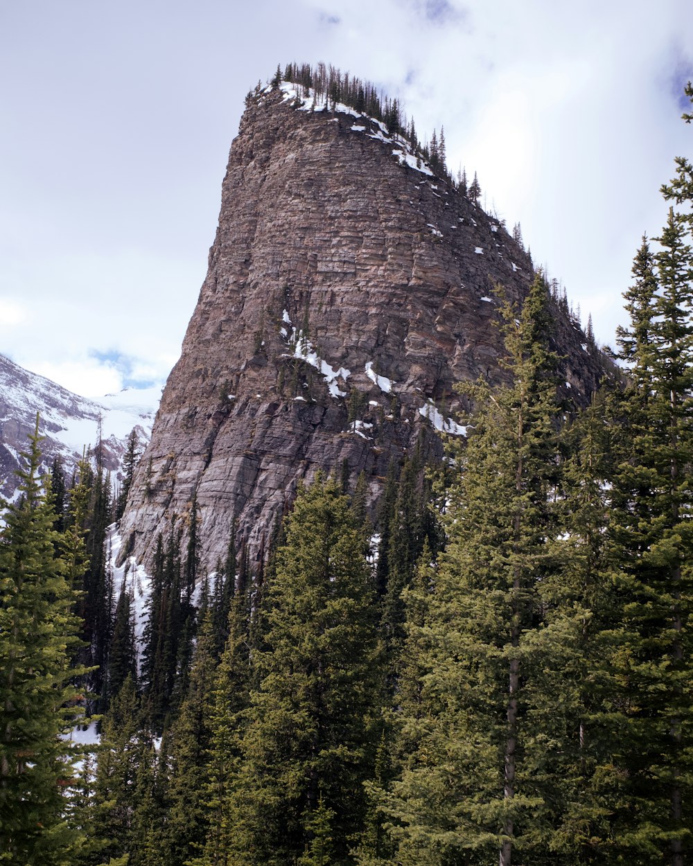 a tall mountain with trees below