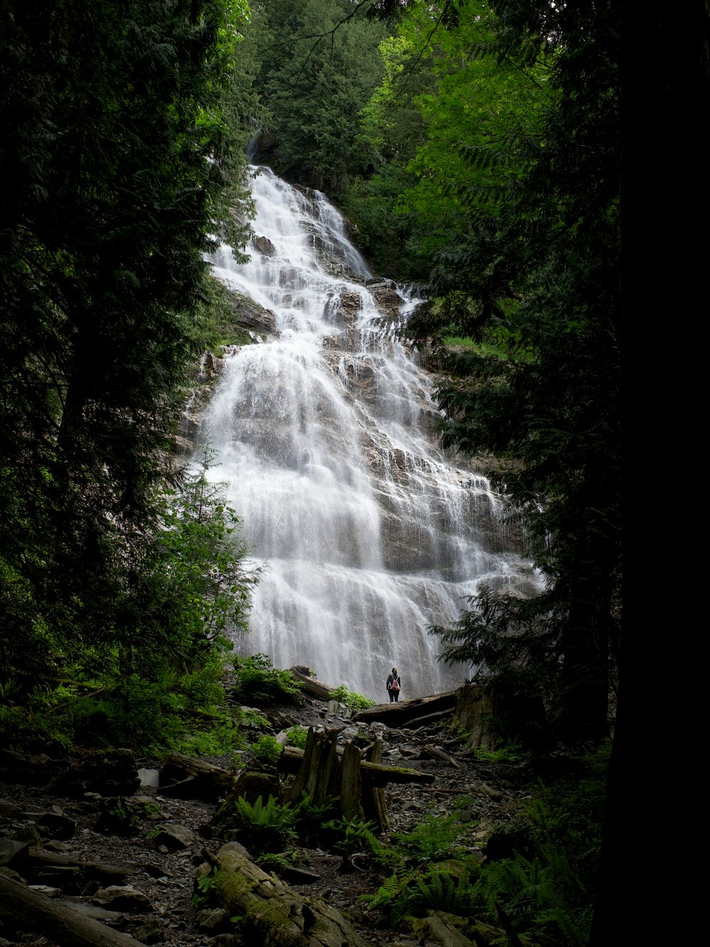 a waterfall in a forest