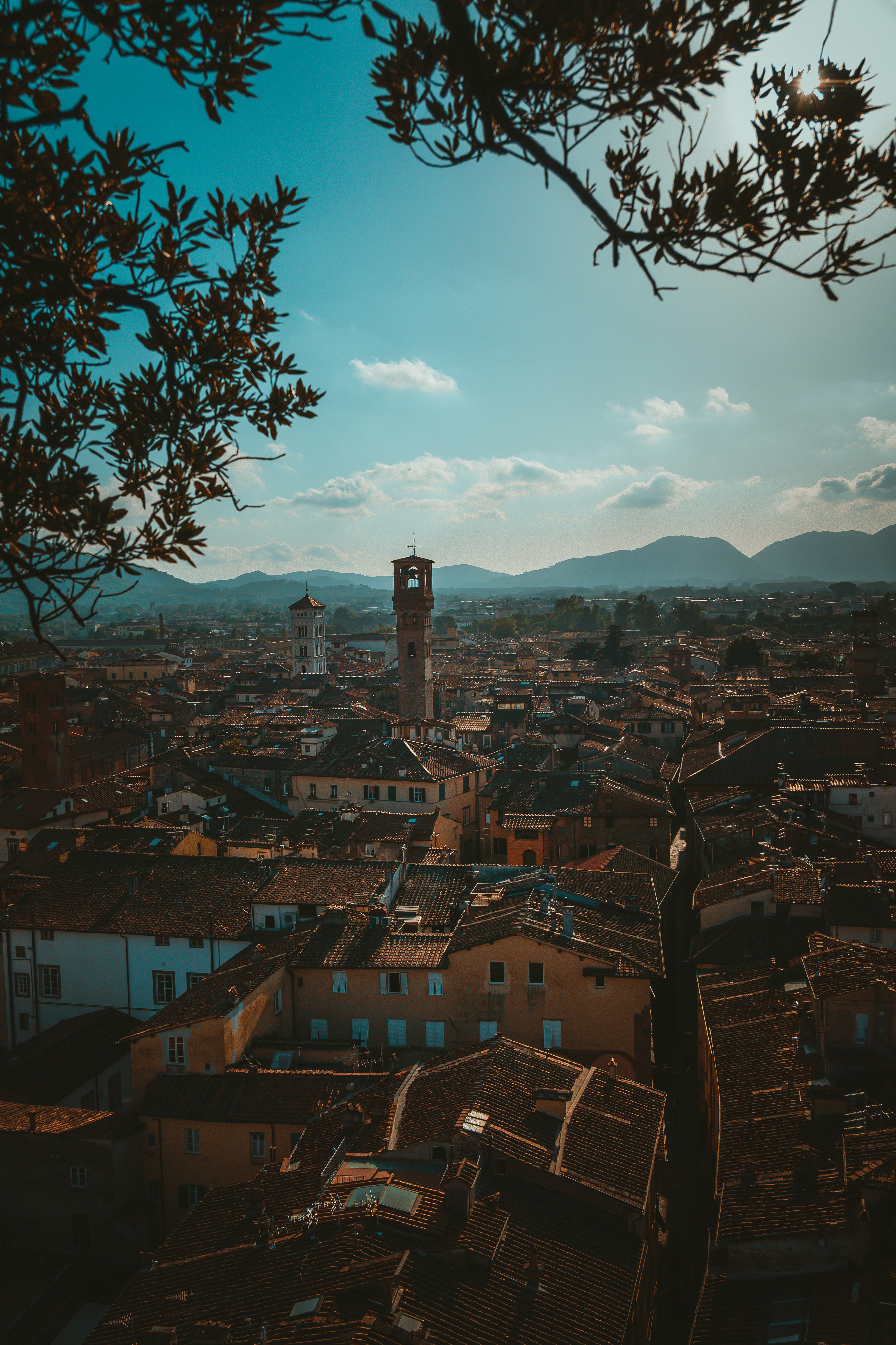 Overlapping landscape photo of a cooperative water-harvesting project with a multi-generational team inspecting systems at sunset, warm tones, high-quality editorial photography showing long-term vision and collaboration.