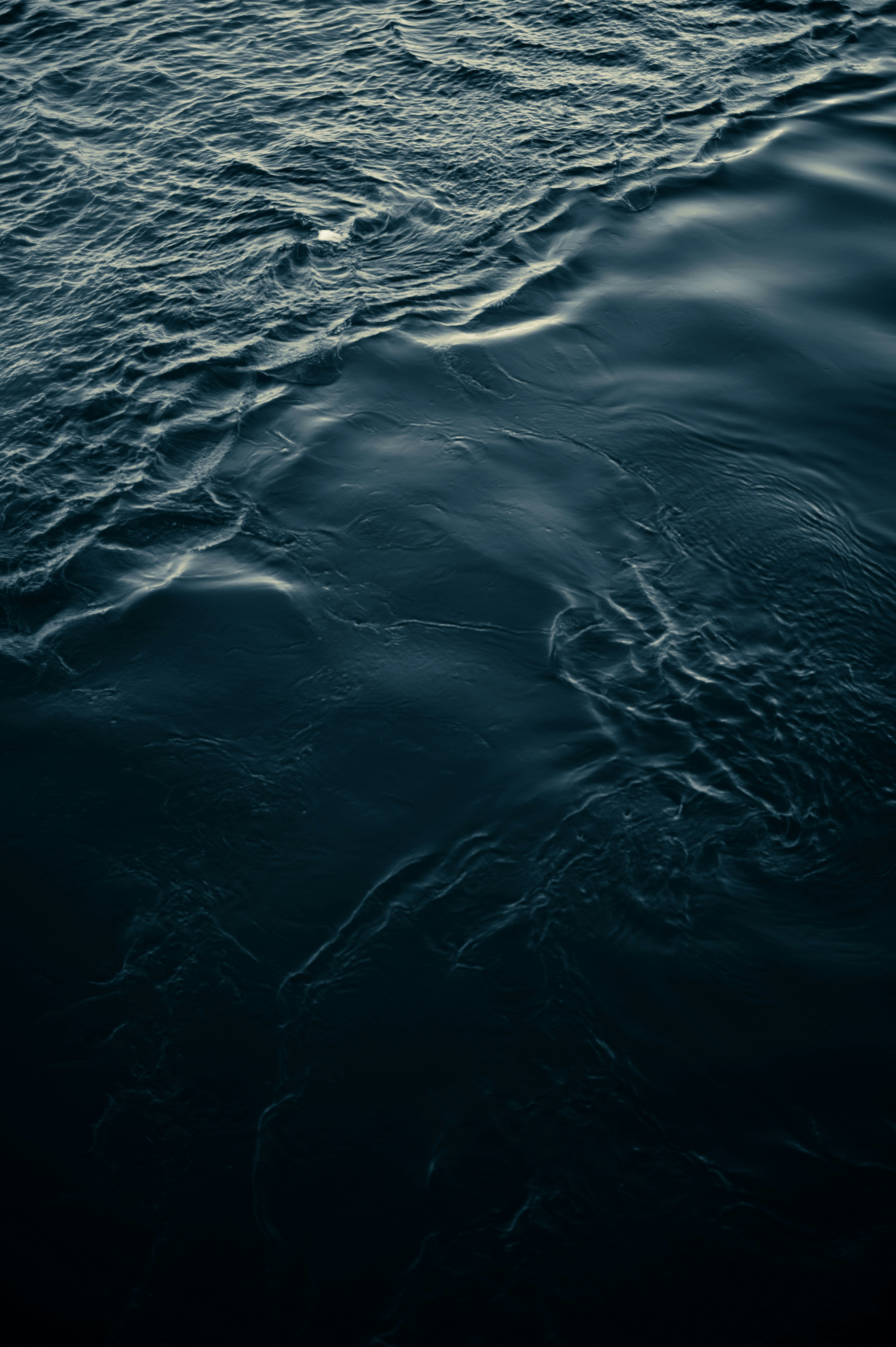 Photo by ryunosuke_kikuno