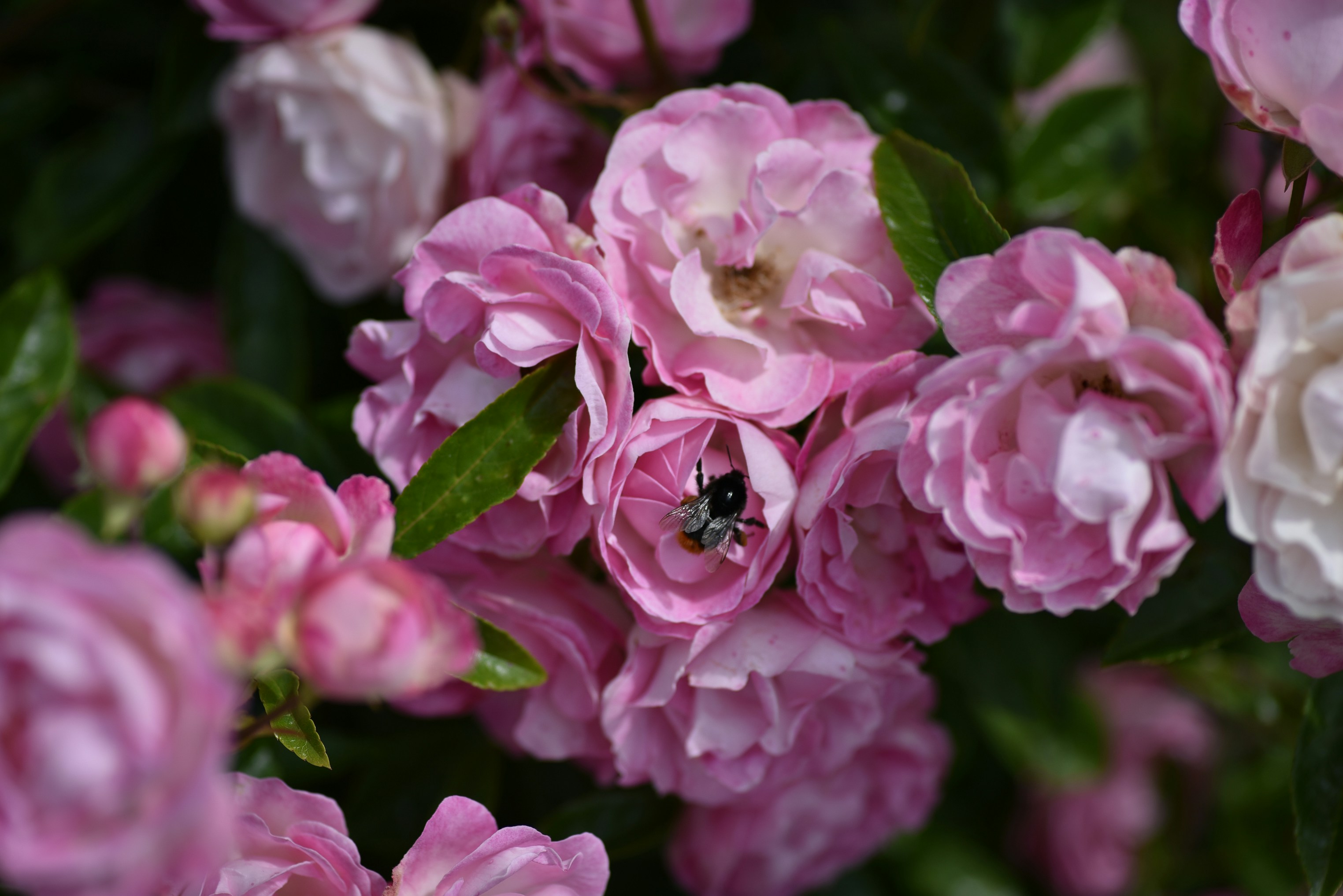 Photo by anastazjakp