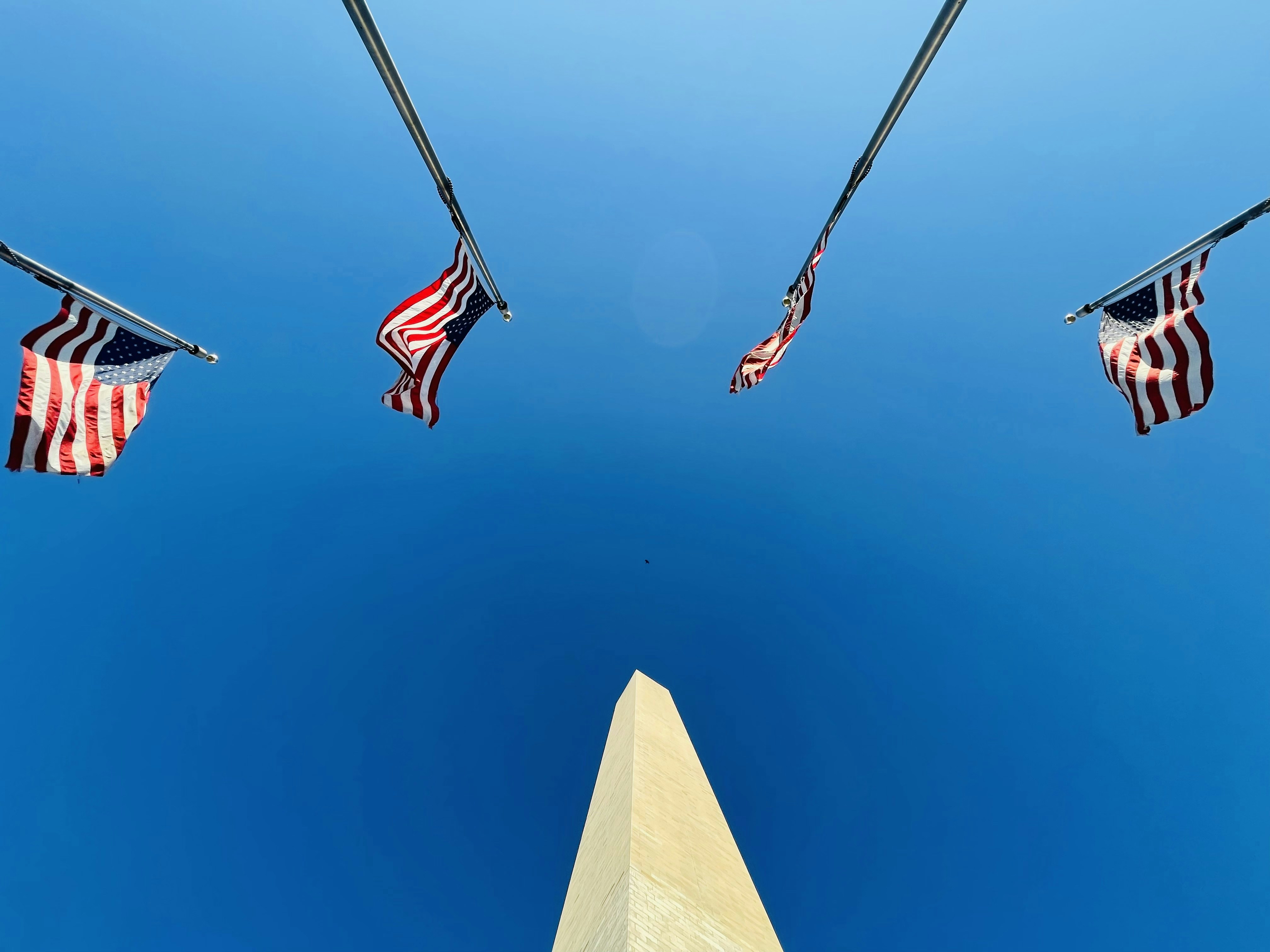 A group of flags flying in the air photo – Free Blue Image on Unsplash