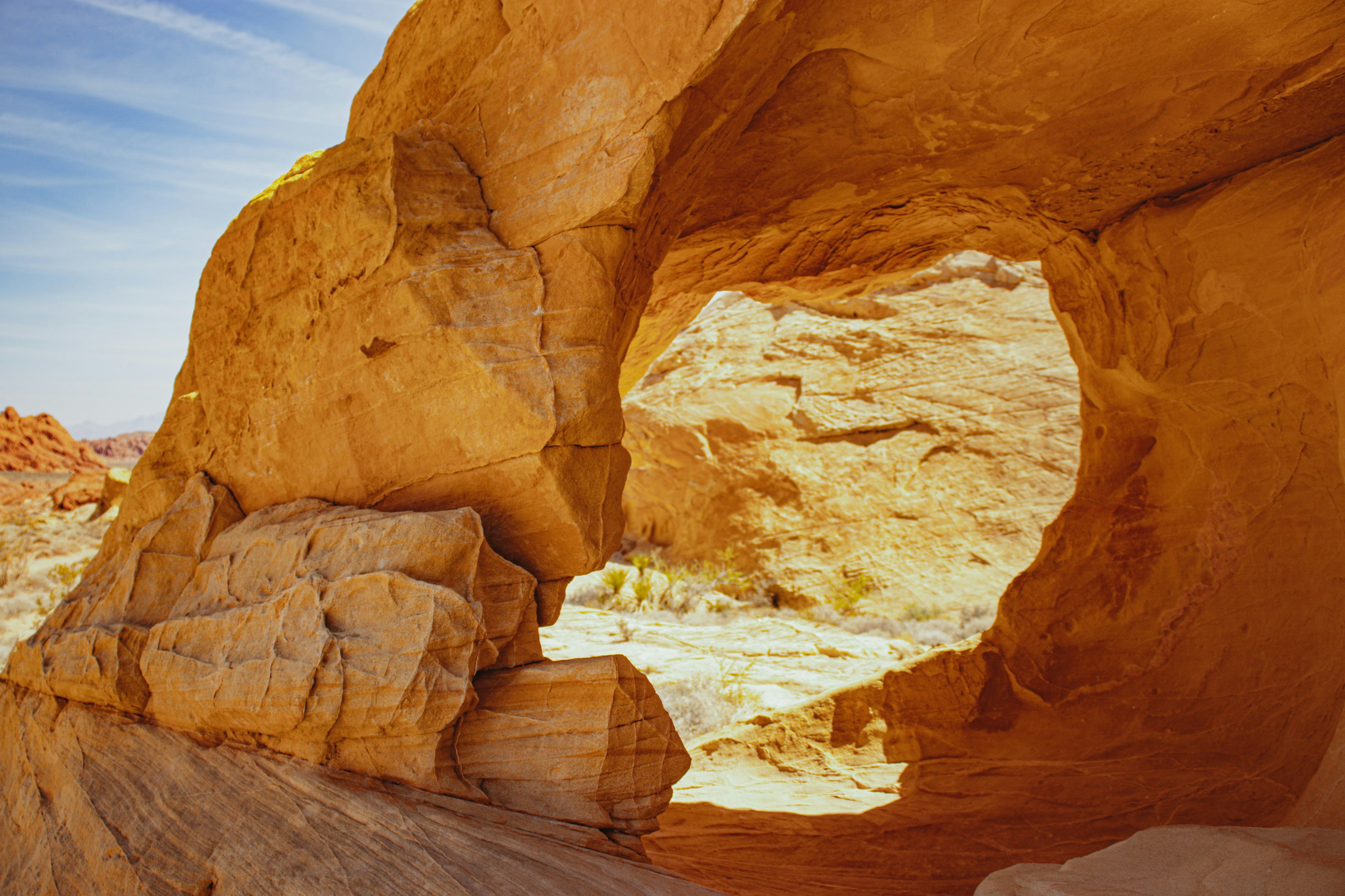 Photo by brice_cooper18