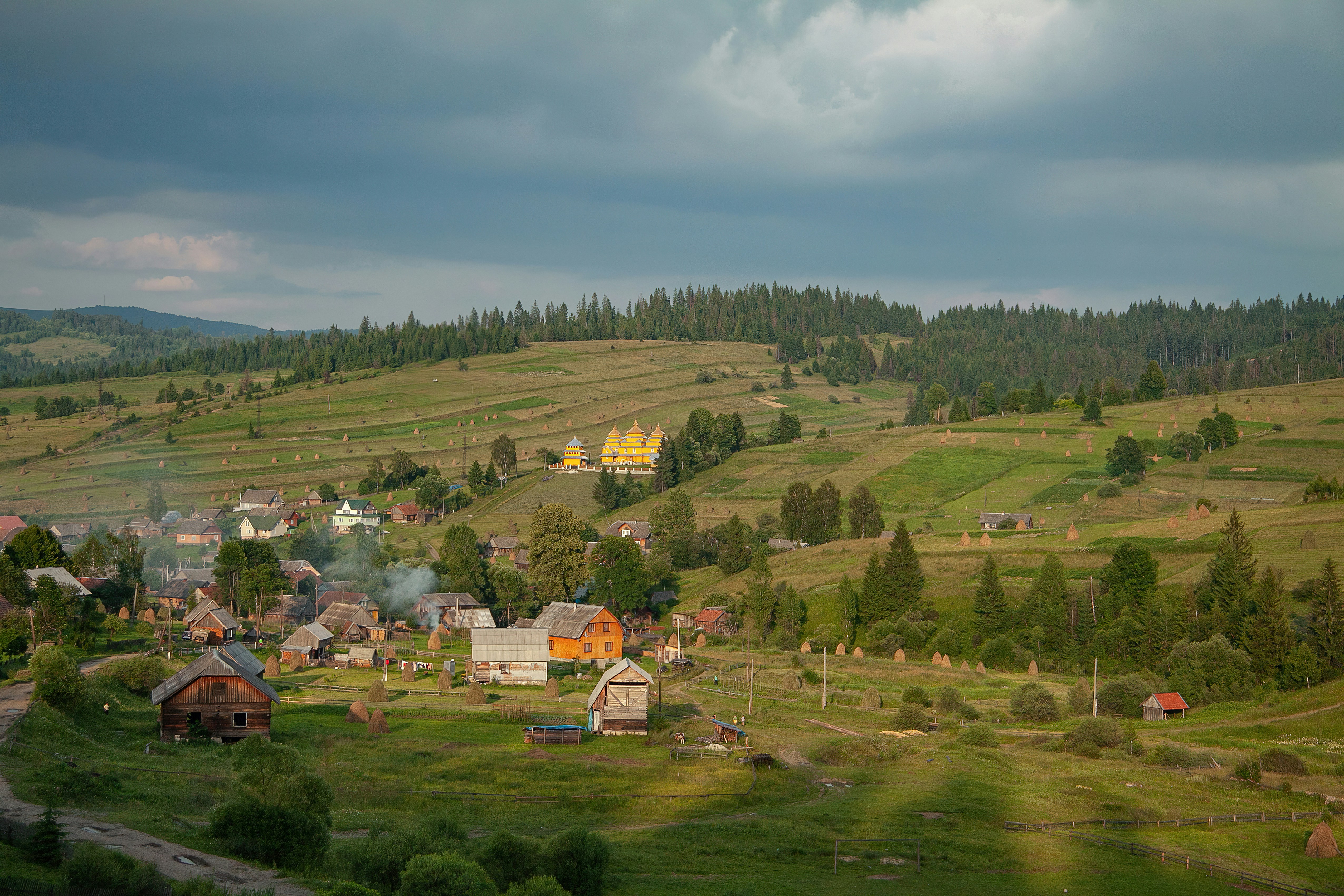 Photo by zephirbrush